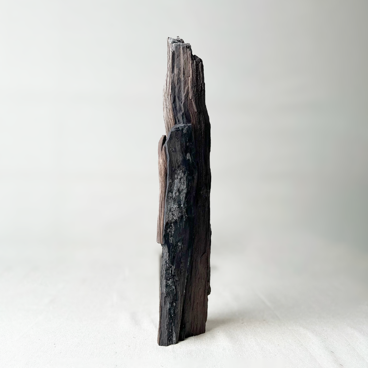 Permineralized Wood - Source by Studio Skara, view 4