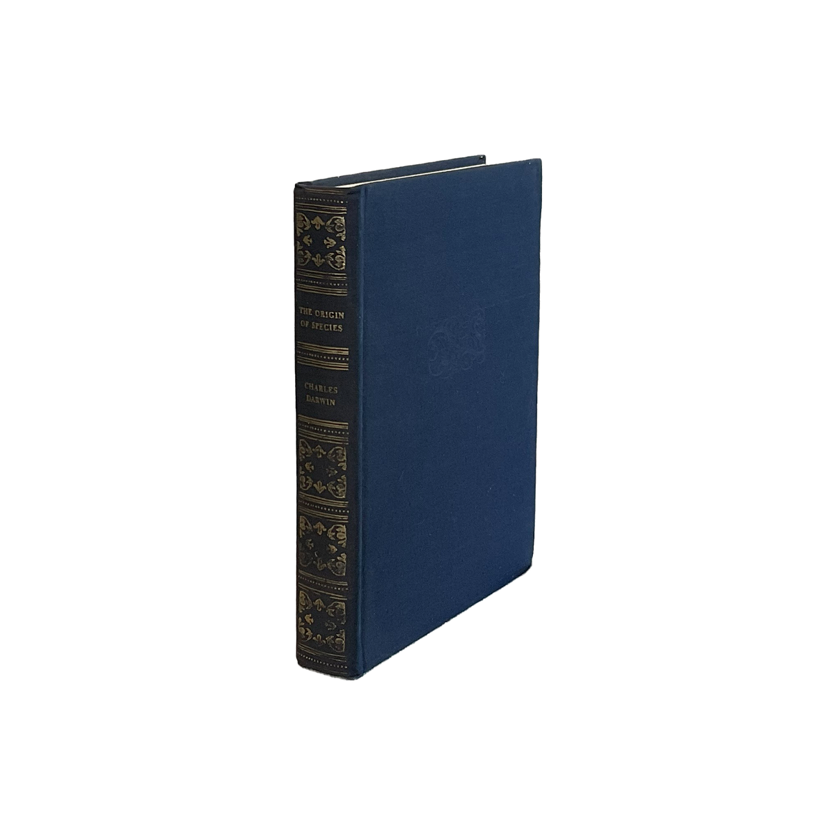 Vintage & Antique Books - Blue - Source by Studio Skara, view 4