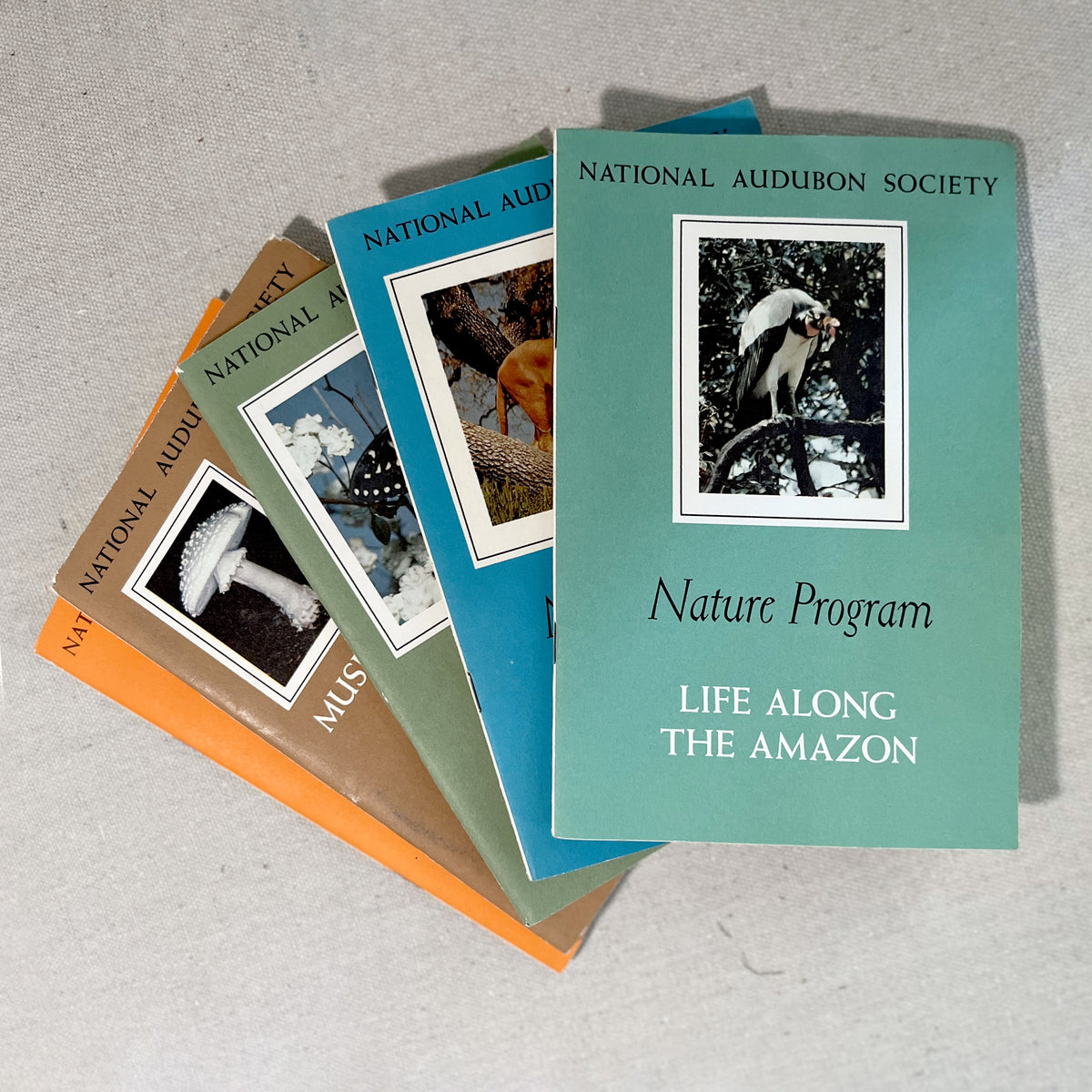 Vintage Audubon Society Nature Program - Source by Studio Skara, view 3