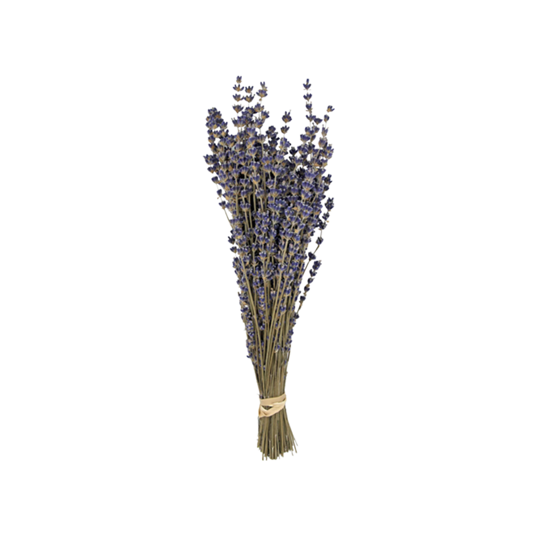 Lavender Preserved Bouquet - Source by Studio Skara