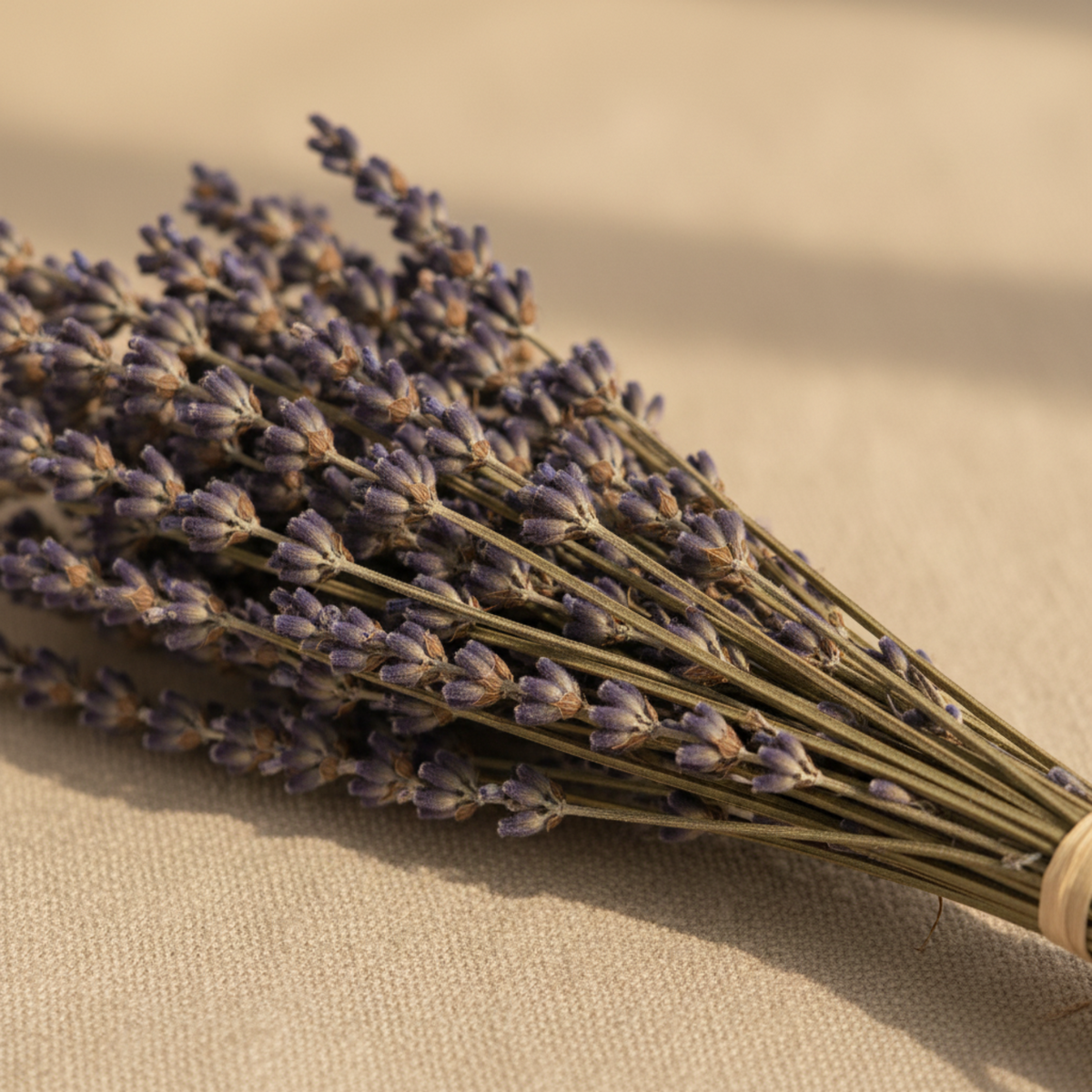 Lavender Preserved Bouquet - Source by Studio Skara, view 3