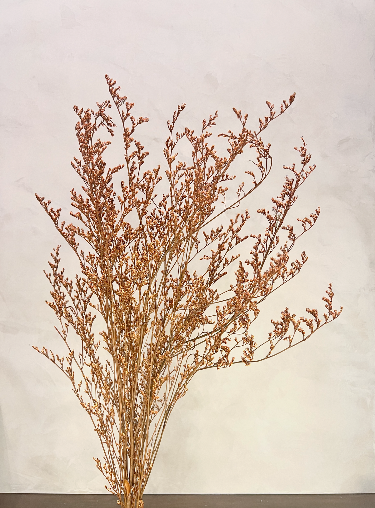 Preserved Limonium Caspia Flowers - Terracotta Orange - Source by Studio Skara, view 2