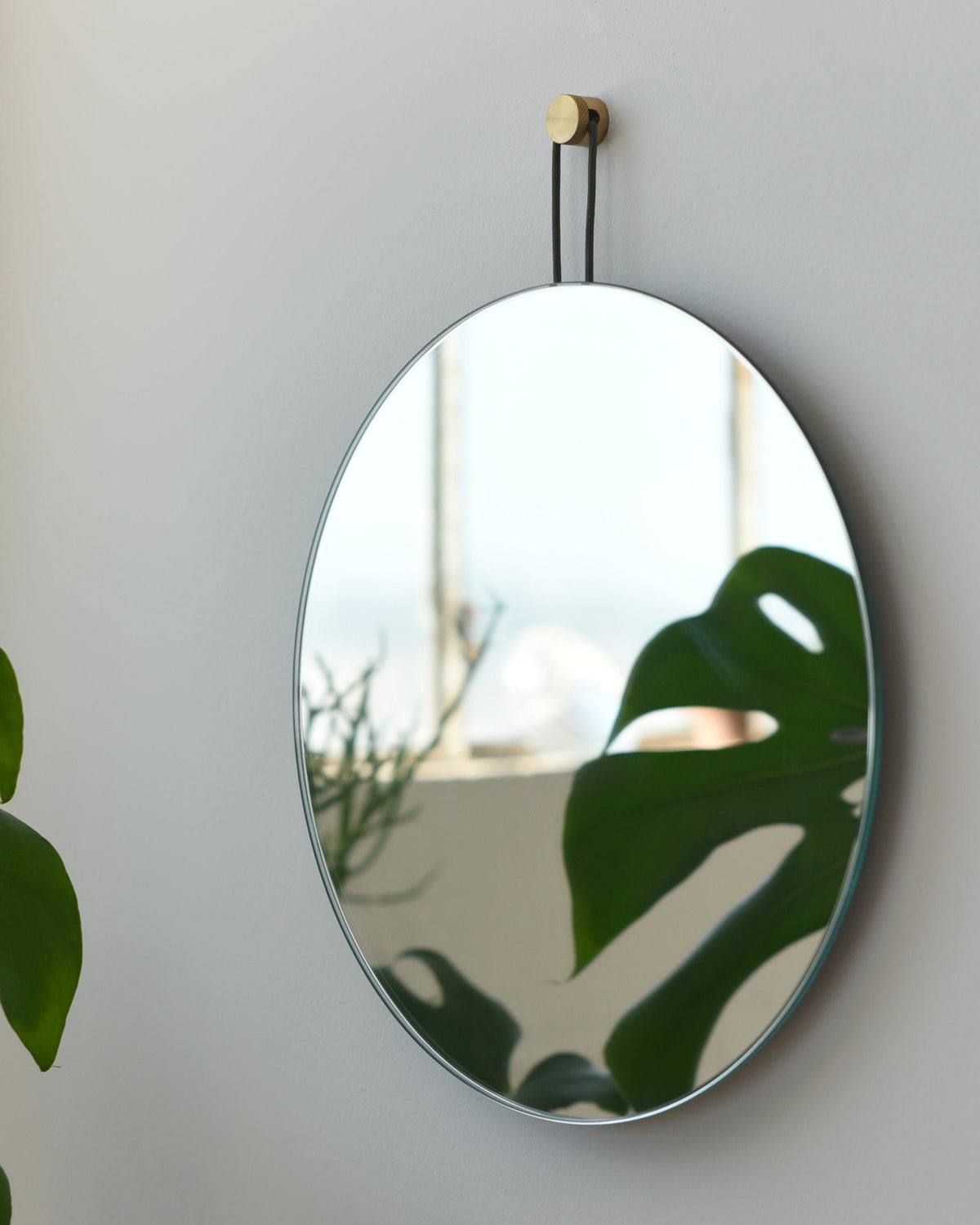 Lure Mirror - Round - Misewell