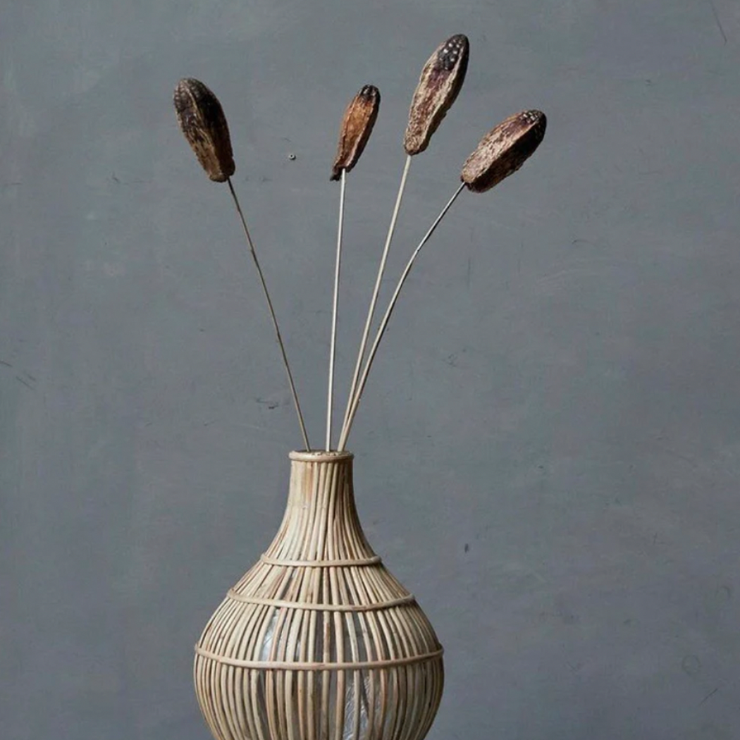 Mahogany Seed Pod Stem - Source by Studio Skara, view 3