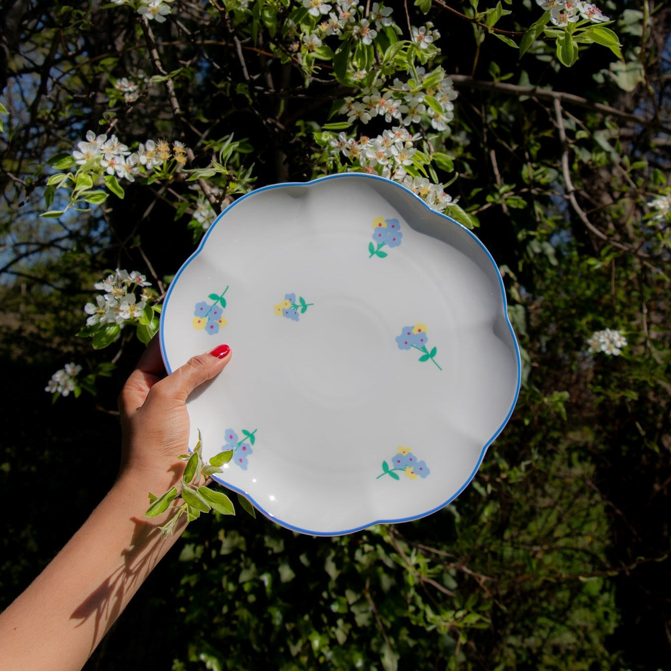 Meadow Flora Dinner Plate - Case of 12 Plates (+3 Bonus Plates)