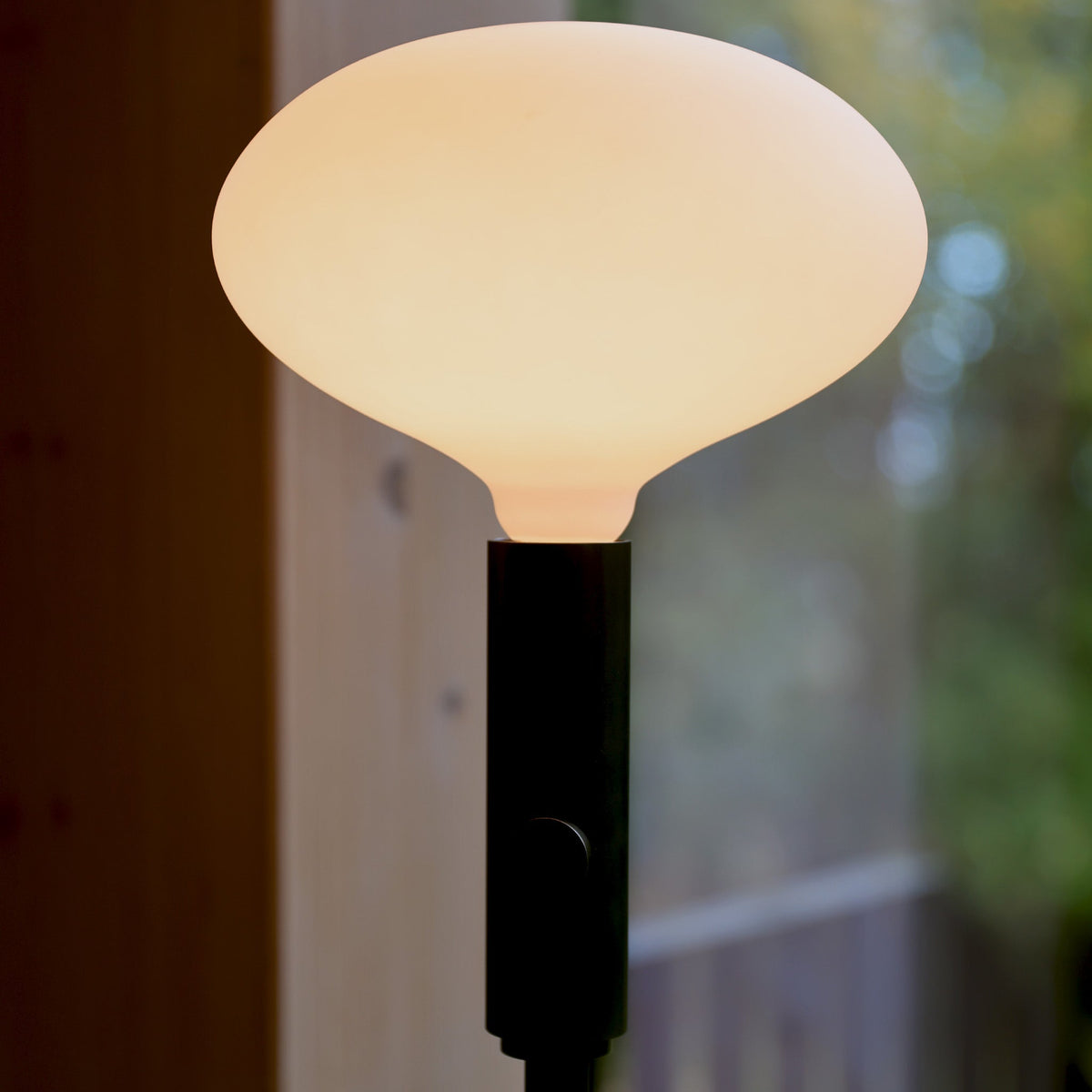 Oval II E26 LED Bulb