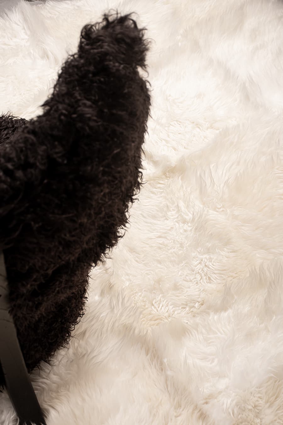 SNOW – Long Hair Sheepskin Rug - Homelosophy, view 6