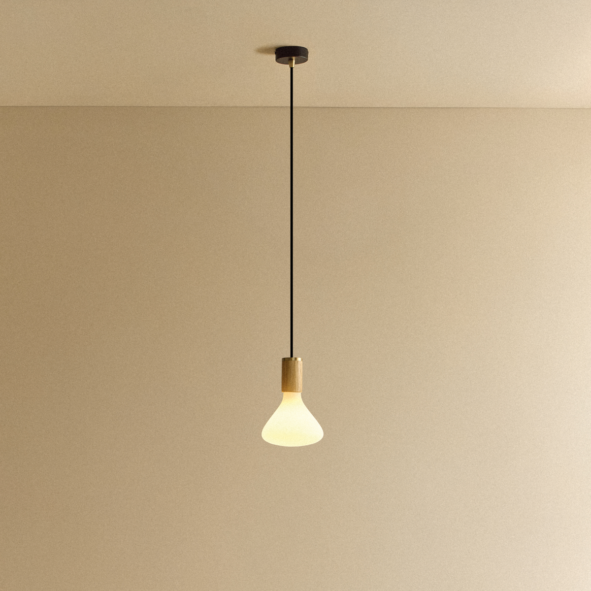 Noma Pendant Light in Oak