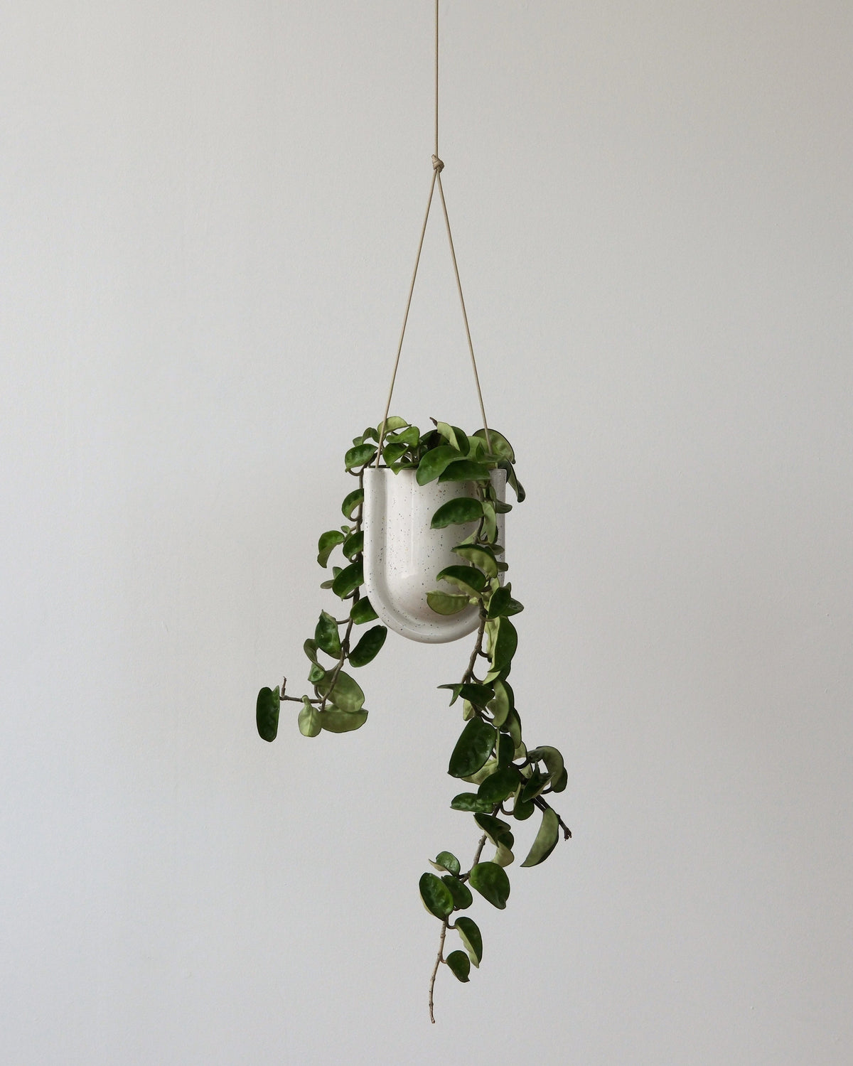 Portico Planter - Misewell, view 6
