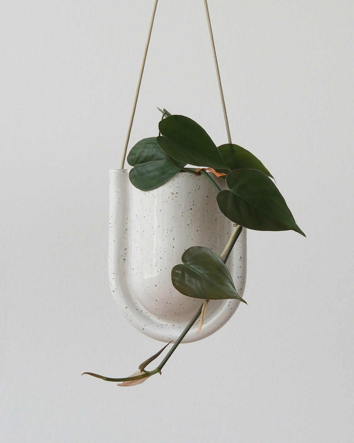 Portico Planter - Misewell, view 2