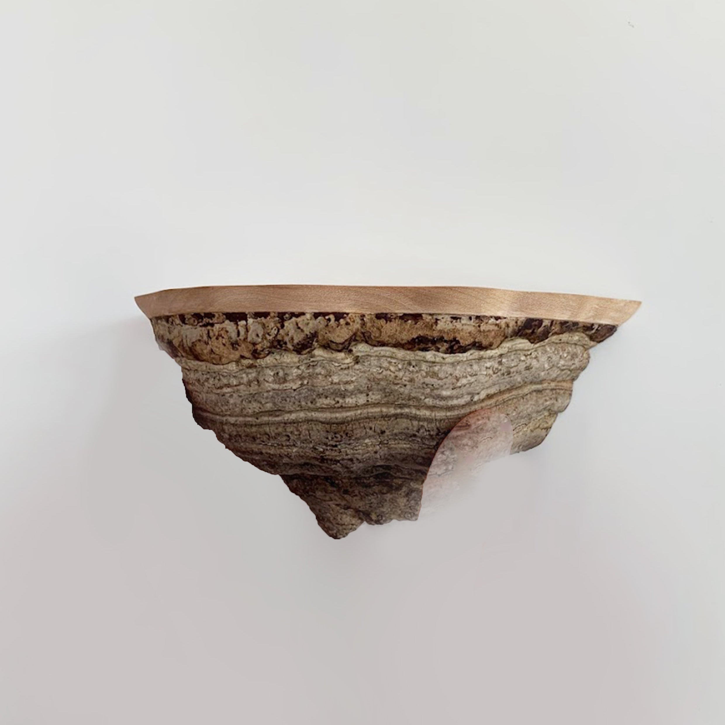 Ticka Fungi Wall Shelf