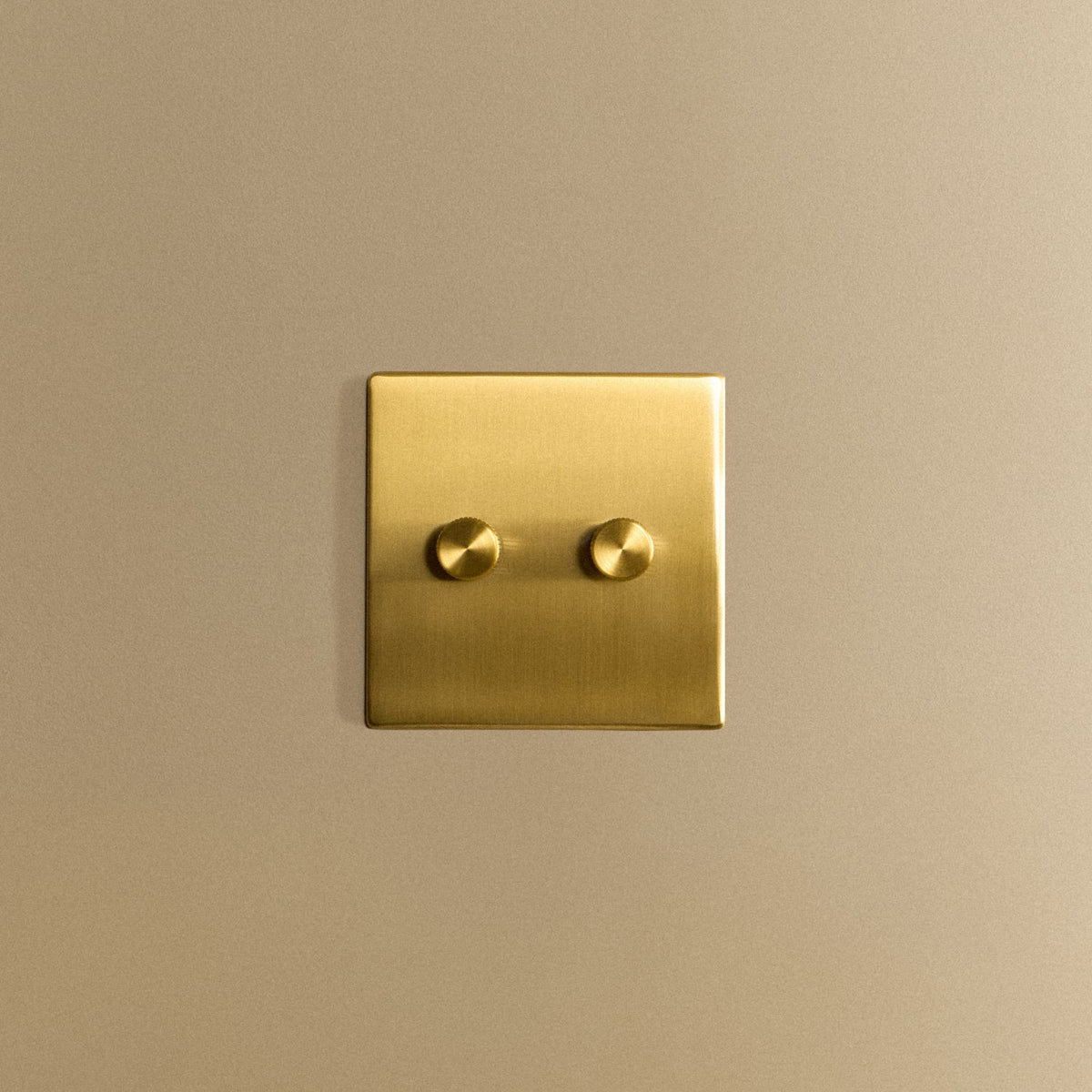 Double Rotary Wall Dimmer in Brass