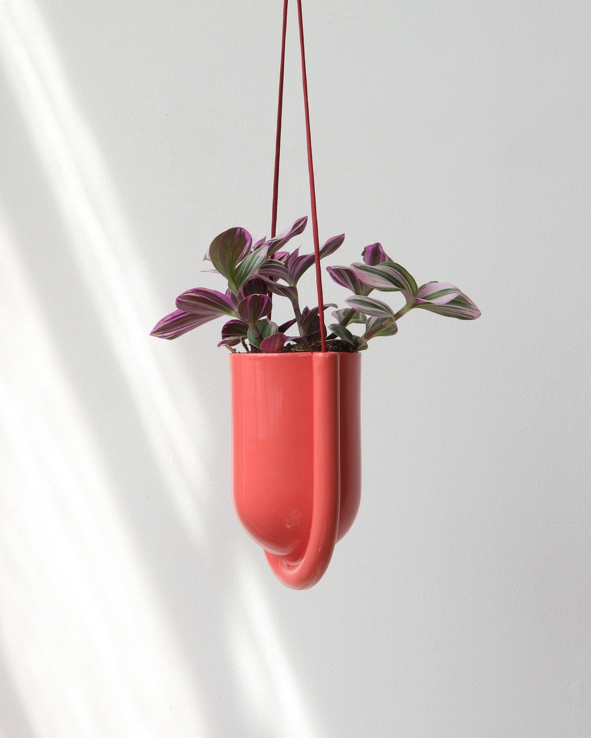 Portico Planter - Misewell