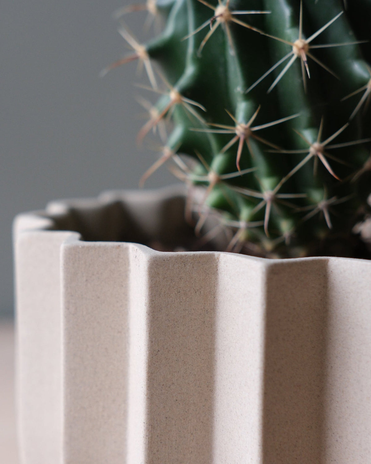 Wrap Planter - 4 sizes - Misewell, view 5