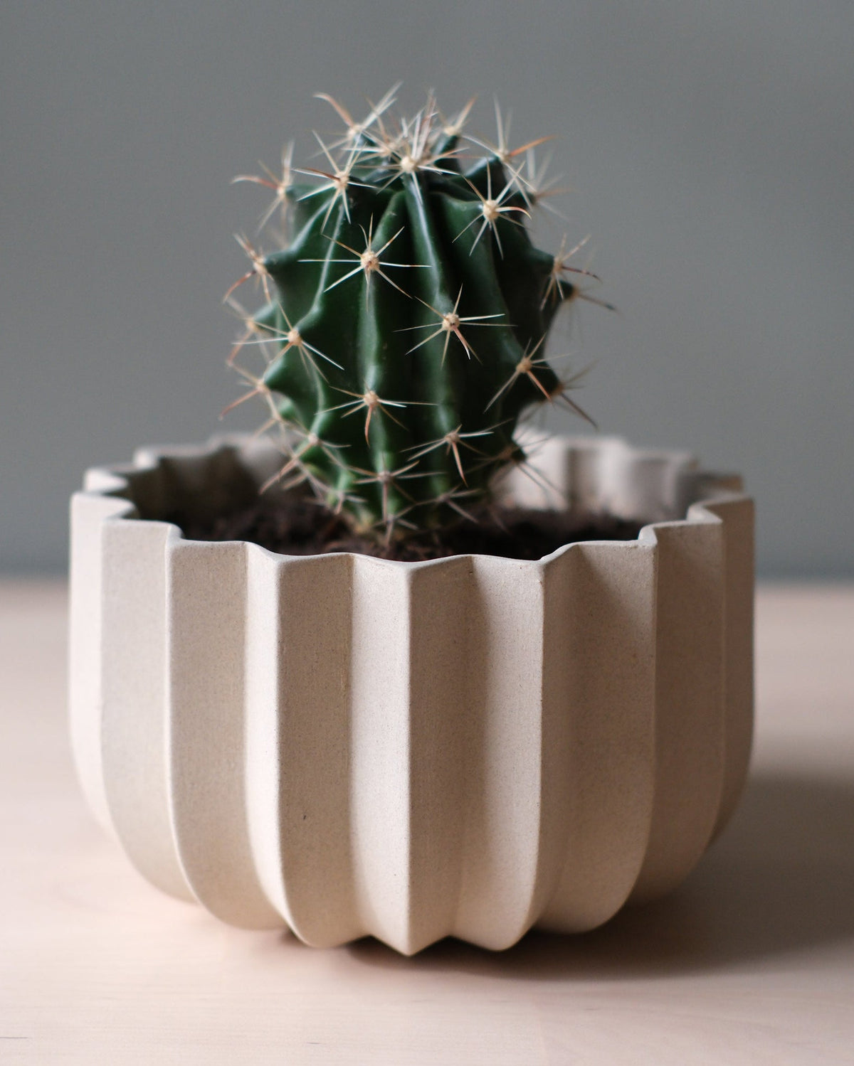 Wrap Planter - 4 sizes - Misewell, view 6