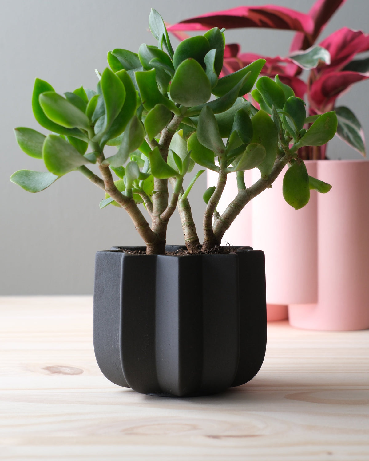 Wrap Planter - 4 sizes - Misewell, view 14