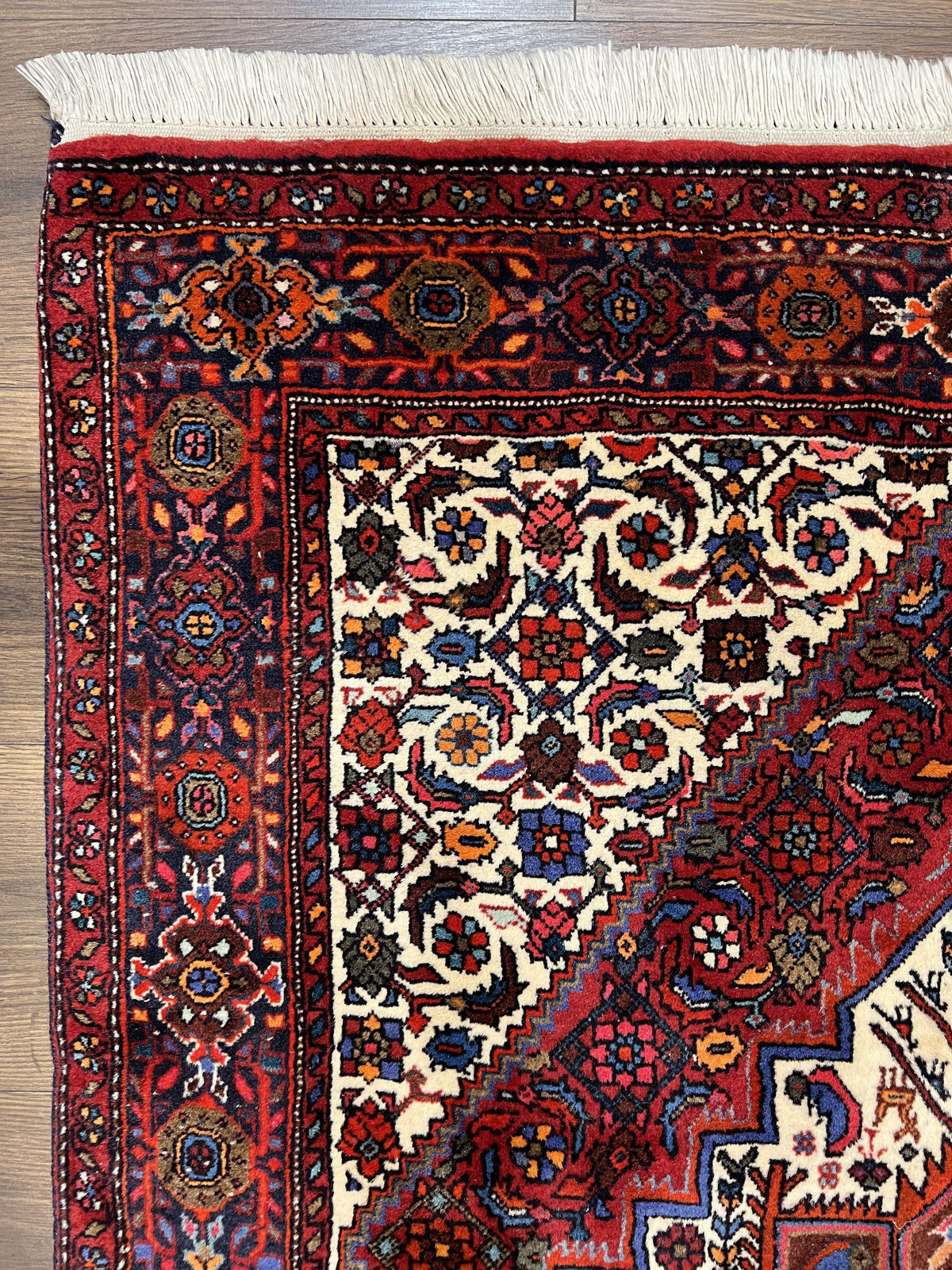 Fine Persian Bidjar Rug 3x5, Geometric Medallion Oriental Bijar Carpet 3 x 5 ft, Ruby Red and Cream, Hand Knotted Wool Rug, Semi Antique Tribal Rug, Nice - Jewel Rugs, view 7