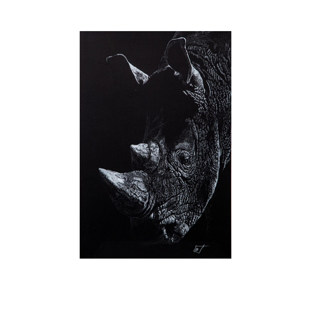 Ancient Sentinel image 0