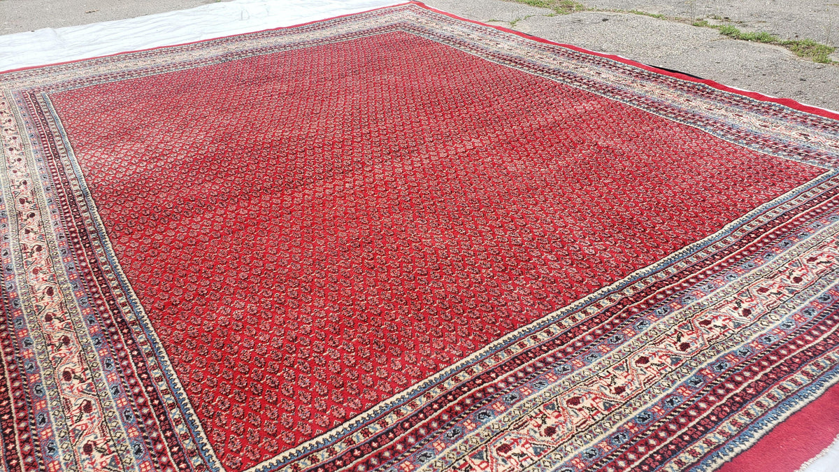 Persian Sarouk Mir Pattern, Red and Beige, Hand-Knotted, Wool, Paisley Boteh Design, 9'9" x 13', Semi Antique - Jewel Rugs, view 11