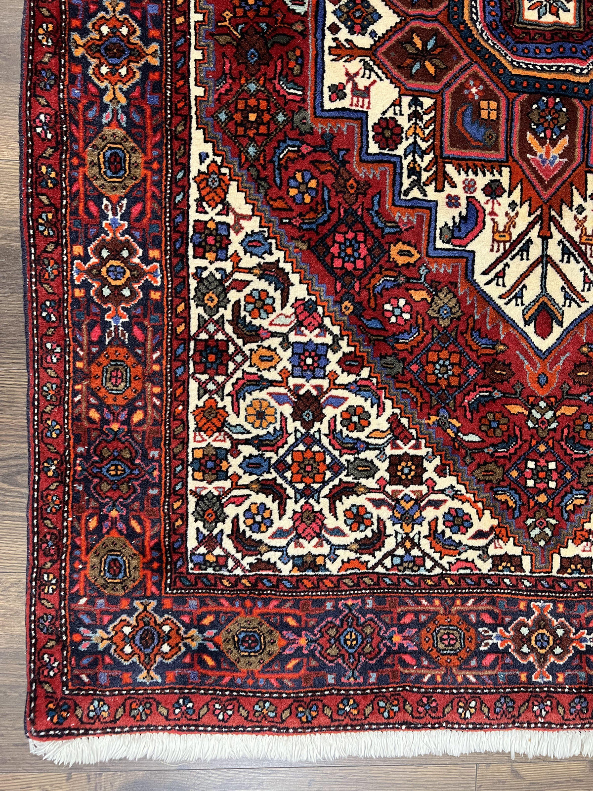 Fine Persian Bidjar Rug 3x5, Geometric Medallion Oriental Bijar Carpet 3 x 5 ft, Ruby Red and Cream, Hand Knotted Wool Rug, Semi Antique Tribal Rug, Nice - Jewel Rugs, view 9