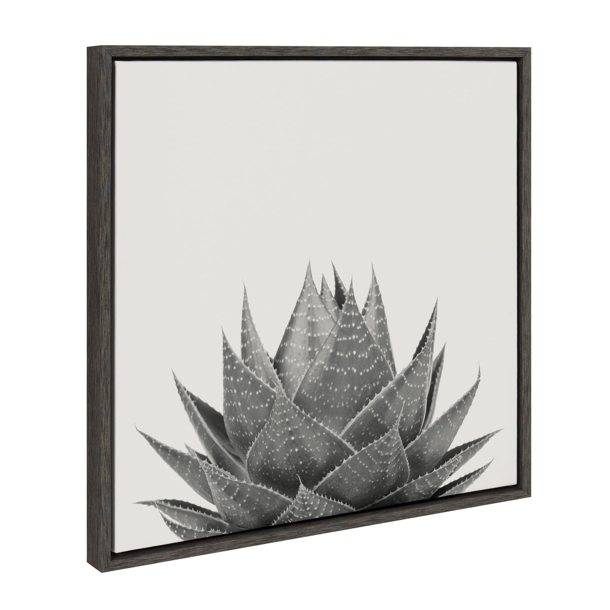 Sylvie Haze Aloe Succulent Framed Canvas by The Creative Bunch Studio