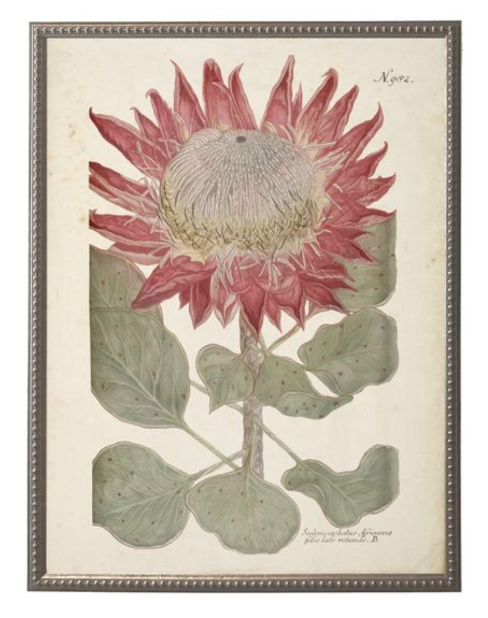 Red Flower in Silver-Beaded Frame - Antique Curiosities