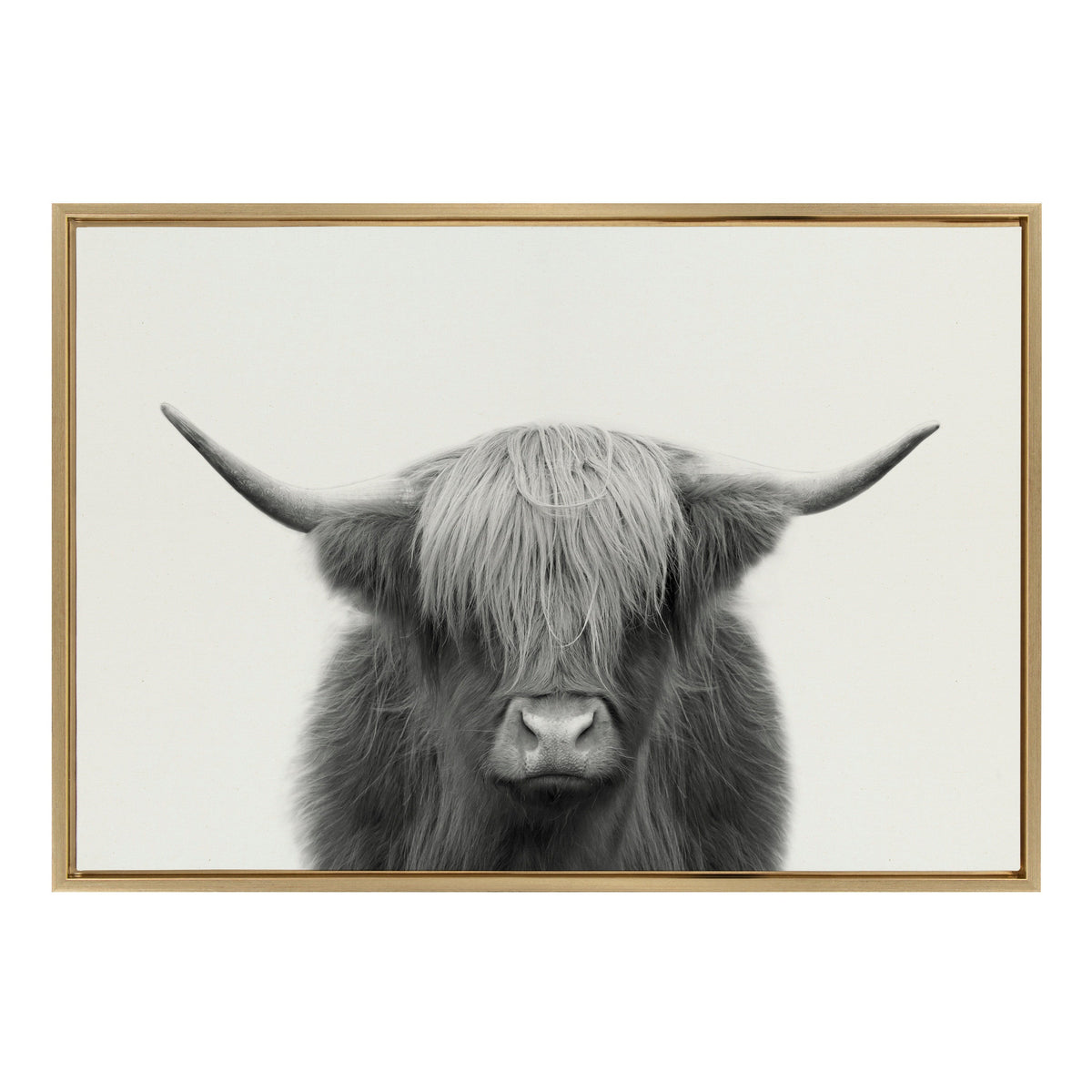 Sylvie Hey Dude Highland Cow Framed Linen Canvas by The Creative Bunch Studio