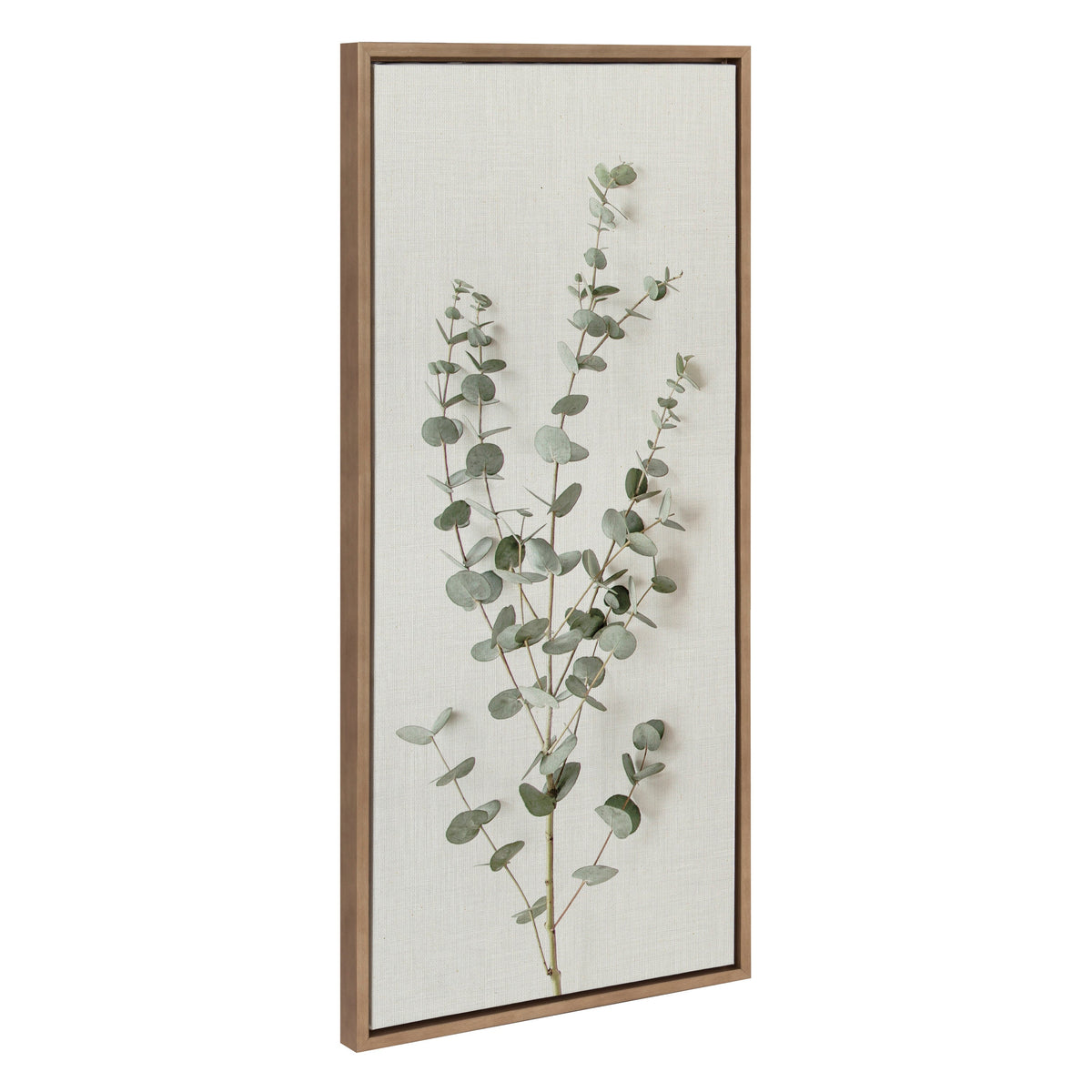 Sylvie Eucalyptus Botanical I Framed Canvas by The Creative Bunch Studio
