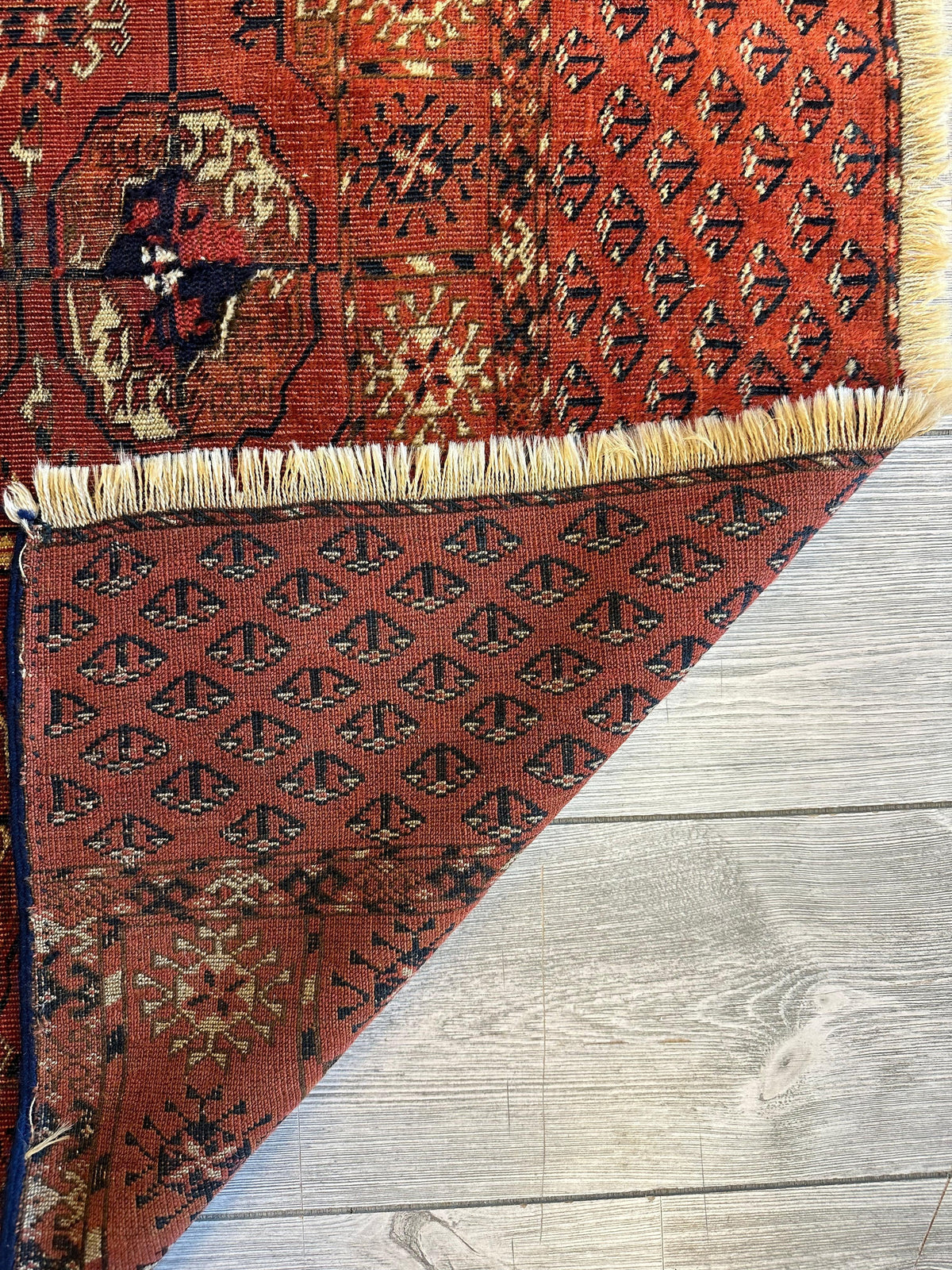 Antique Tekke Rug 3x4 | Rust, Ivory & Navy | Wool - Rugistan, view 12
