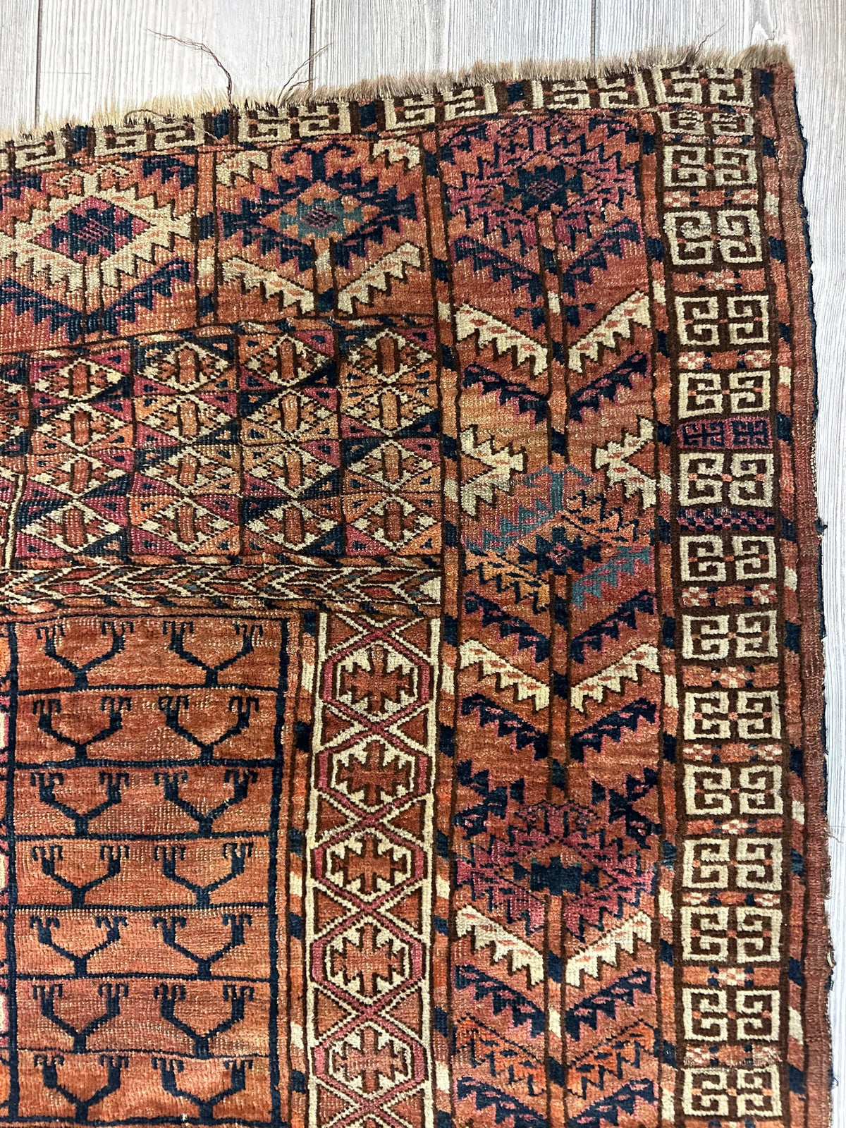 Antique Tekke Rug 4x5 | Rust, Brown & Ivory | Hand-Knotted Wool - Rugistan, view 6