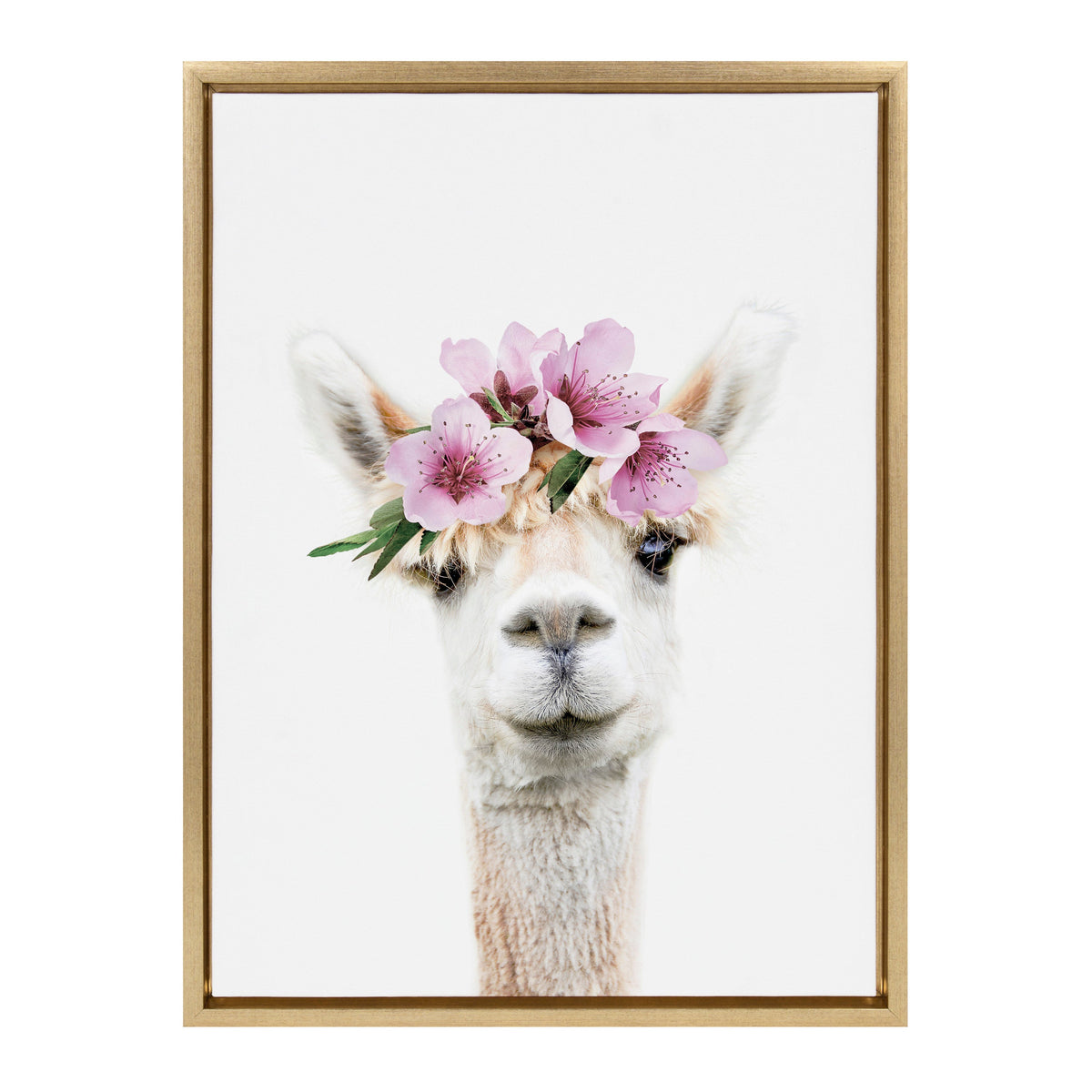 Sylvie Flower Crown Alpaca Framed Canvas by Amy Peterson Art Studio
