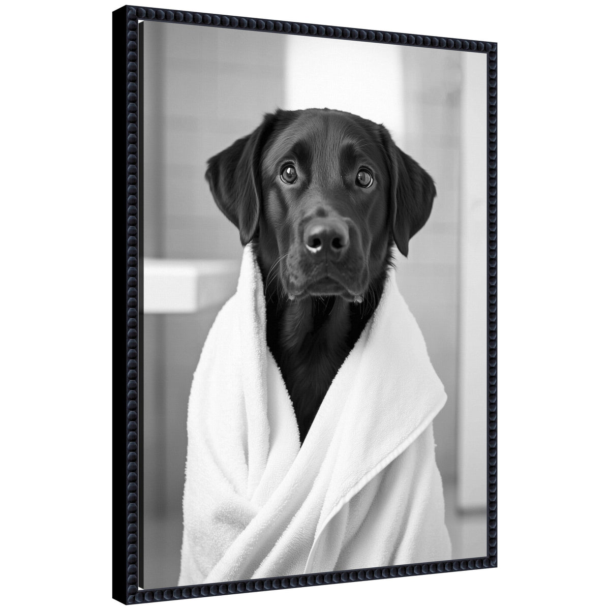 Sylvie Black Lab Bathroom Art Towel Robe Black and White Framed Canvas by The Creative Bunch Studio