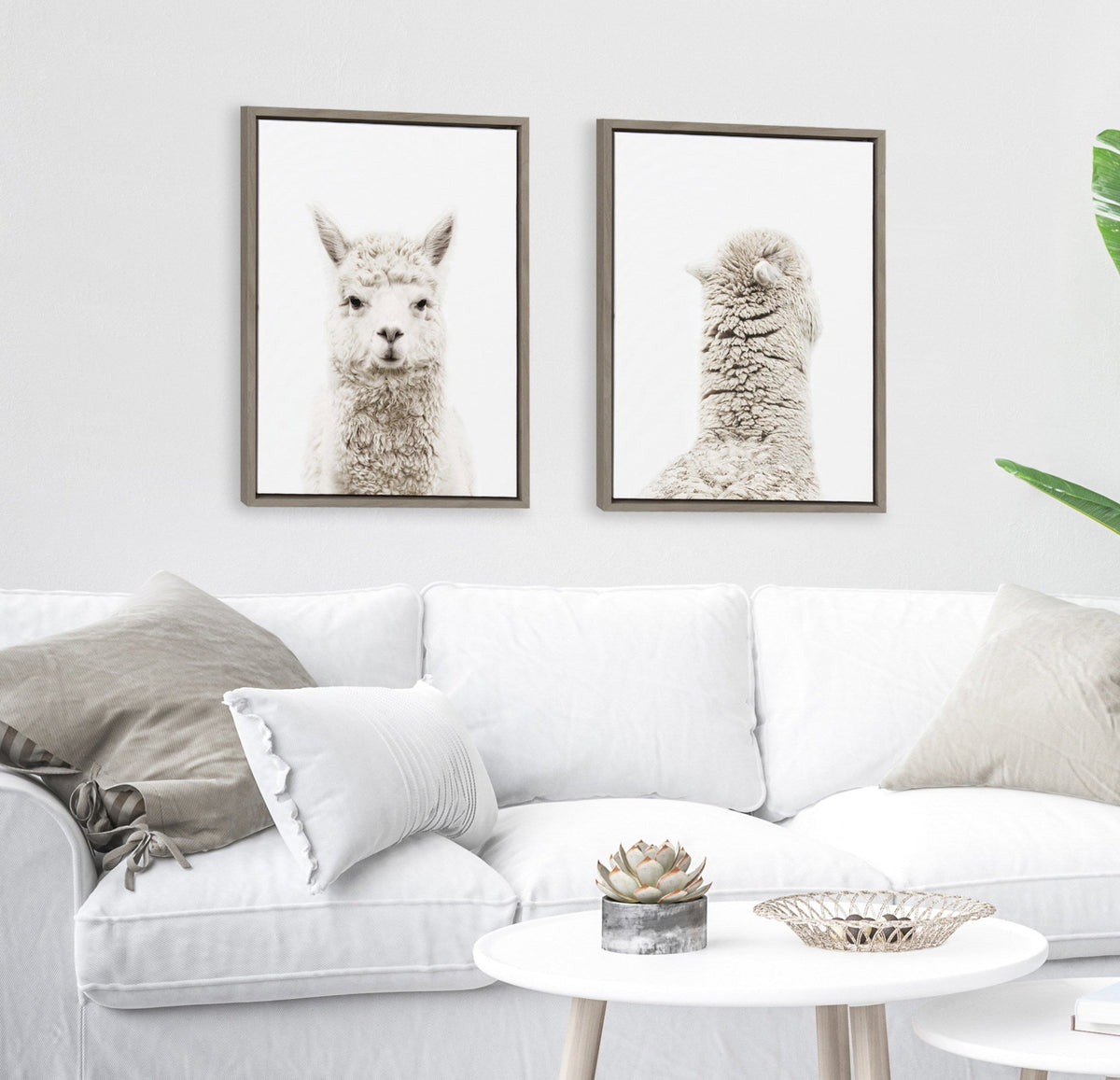 Sylvie Alpaca Front and Alpaca Back Framed Canvas Art Set by Amy Peterson Art Studio