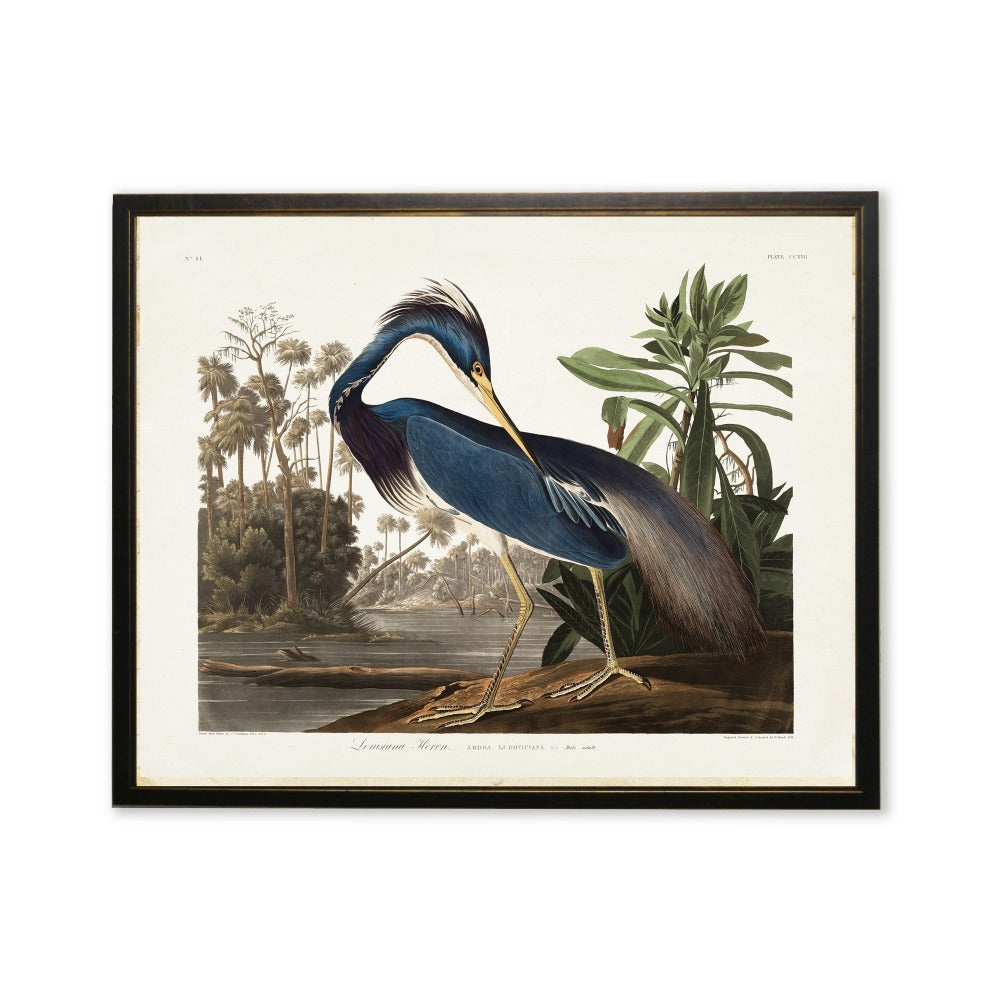 Blue Heron in Black and Copper Frame - Antique Curiosities