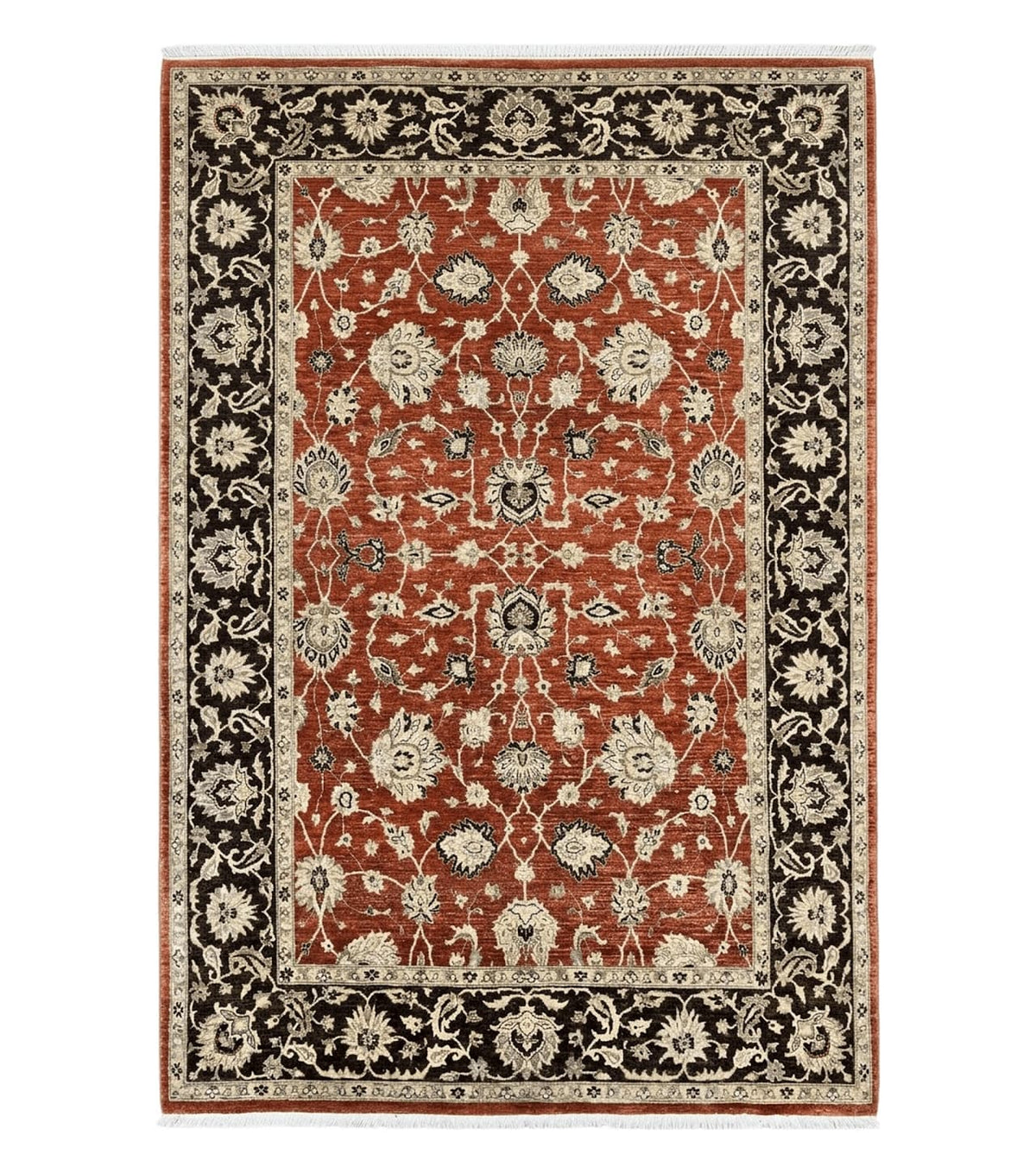 Pakistani Oriental Rug 6x9, Red, Floral Allover, Handmade Wool Rug, Peshawar Chobi Rug, Pak Persian Carpet 6 x 9 - Jewel Rugs
