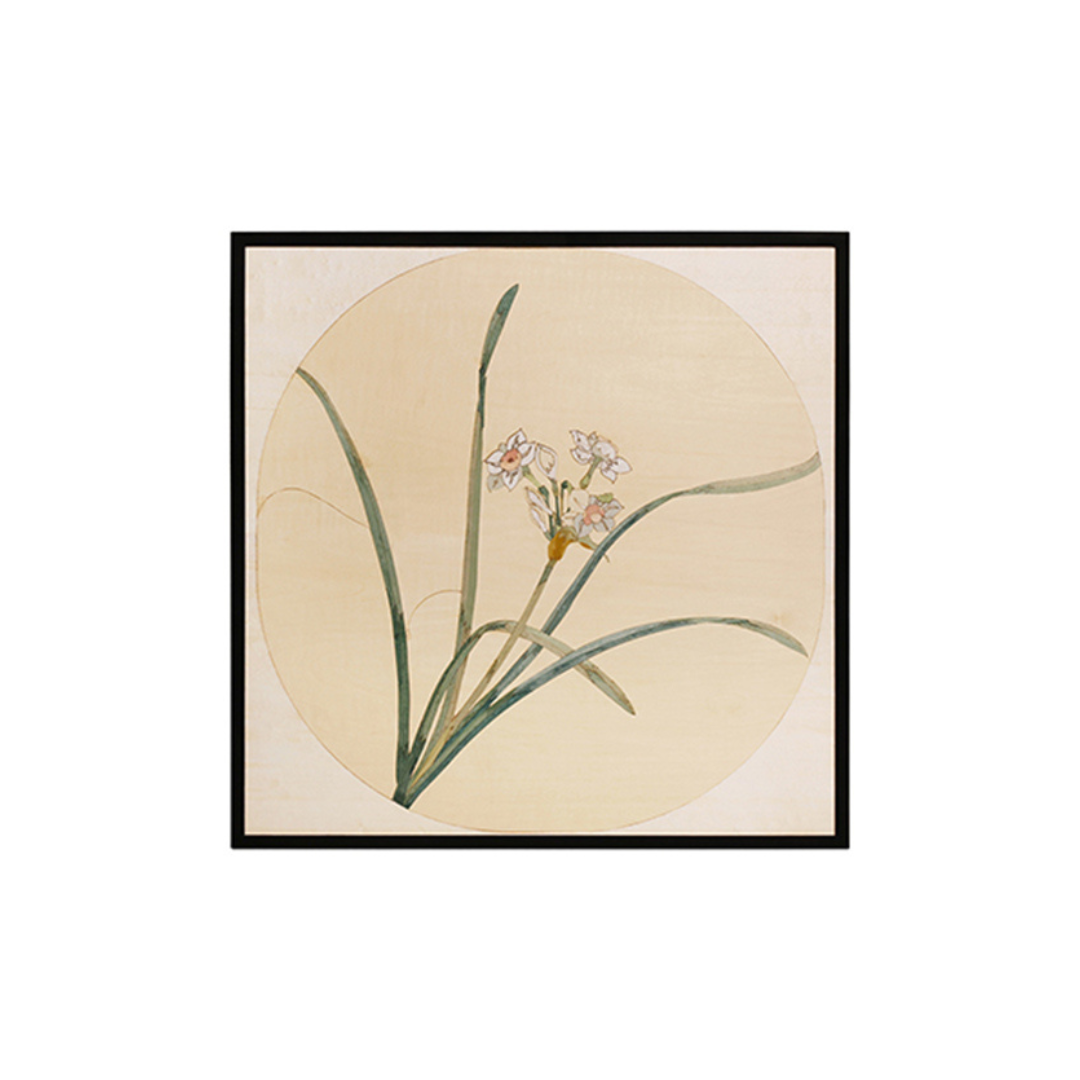 Orchid image 0