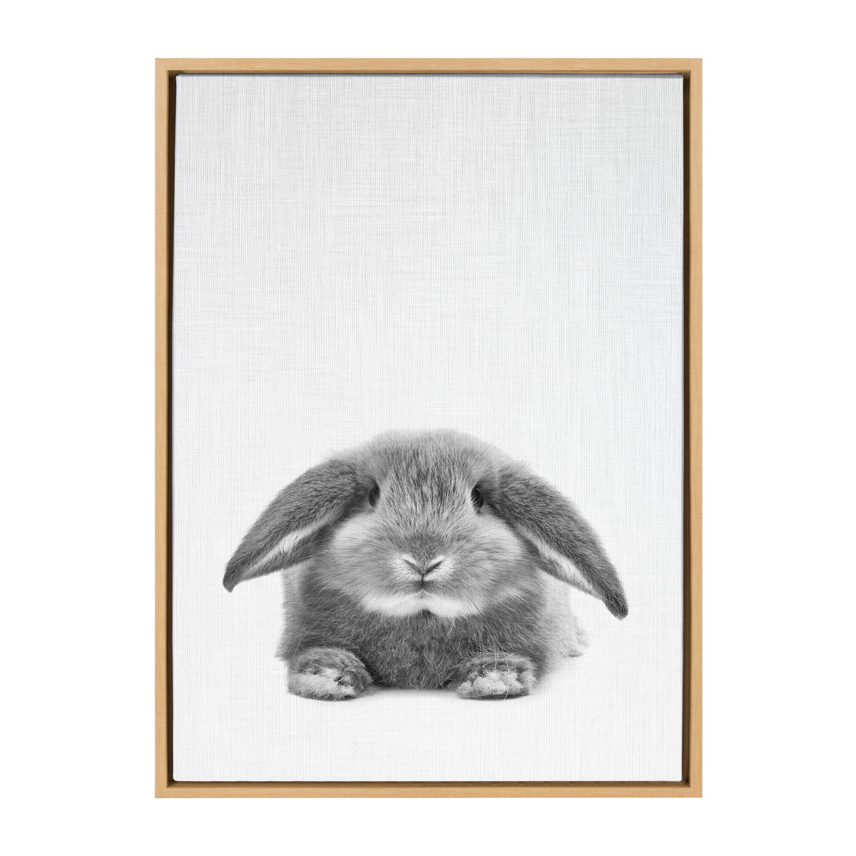 Sylvie Rabbit Framed Canvas by Simon Te of Tai Prints