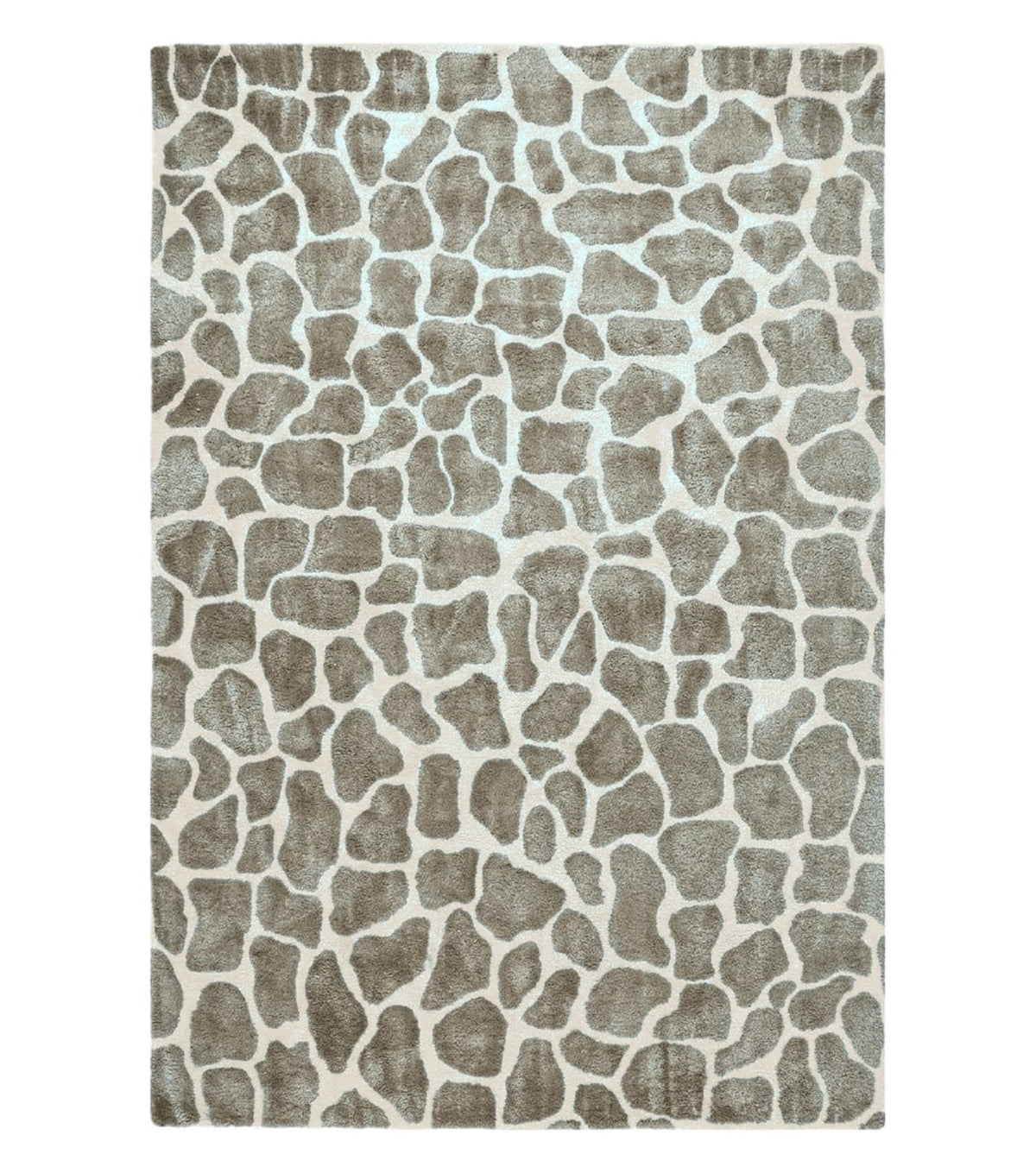 6x9 Safavieh Rug - Jewel Rugs