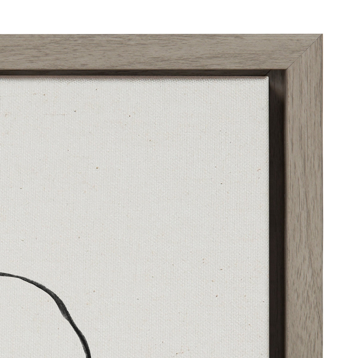 Sylvie Going in Circles Framed Textured Canvas Set by Teju Reval