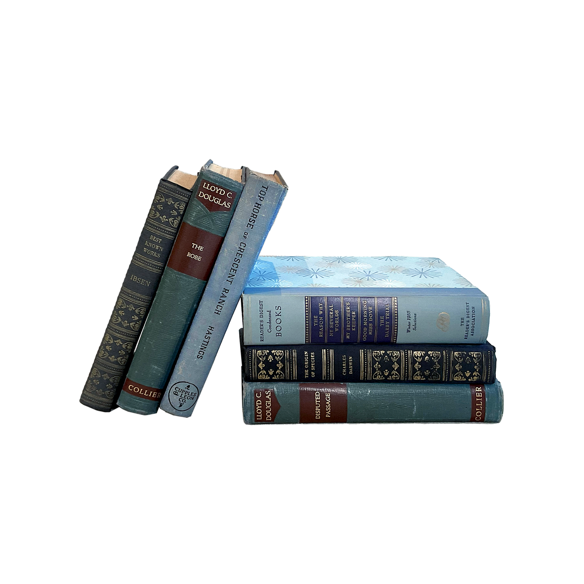 Vintage & Antique Books - Blue - Source by Studio Skara