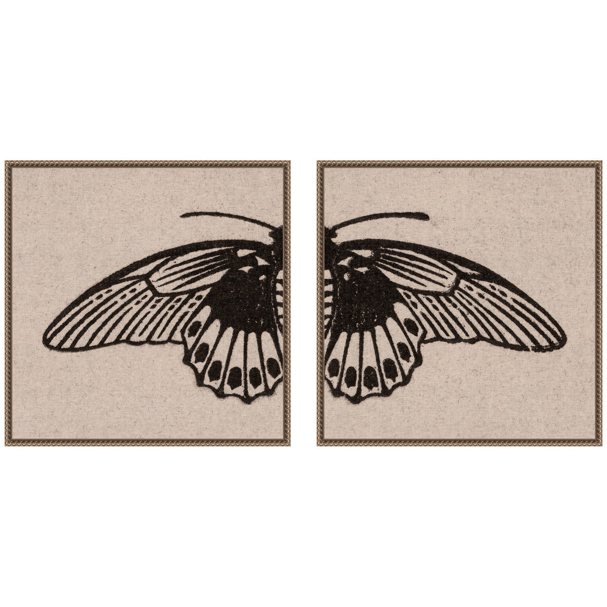 Vlinder 1901 Julie de Graag No. 1 & No. 2 2 Piece Framed Canvas Wall Art Set by Nostalgia Prints