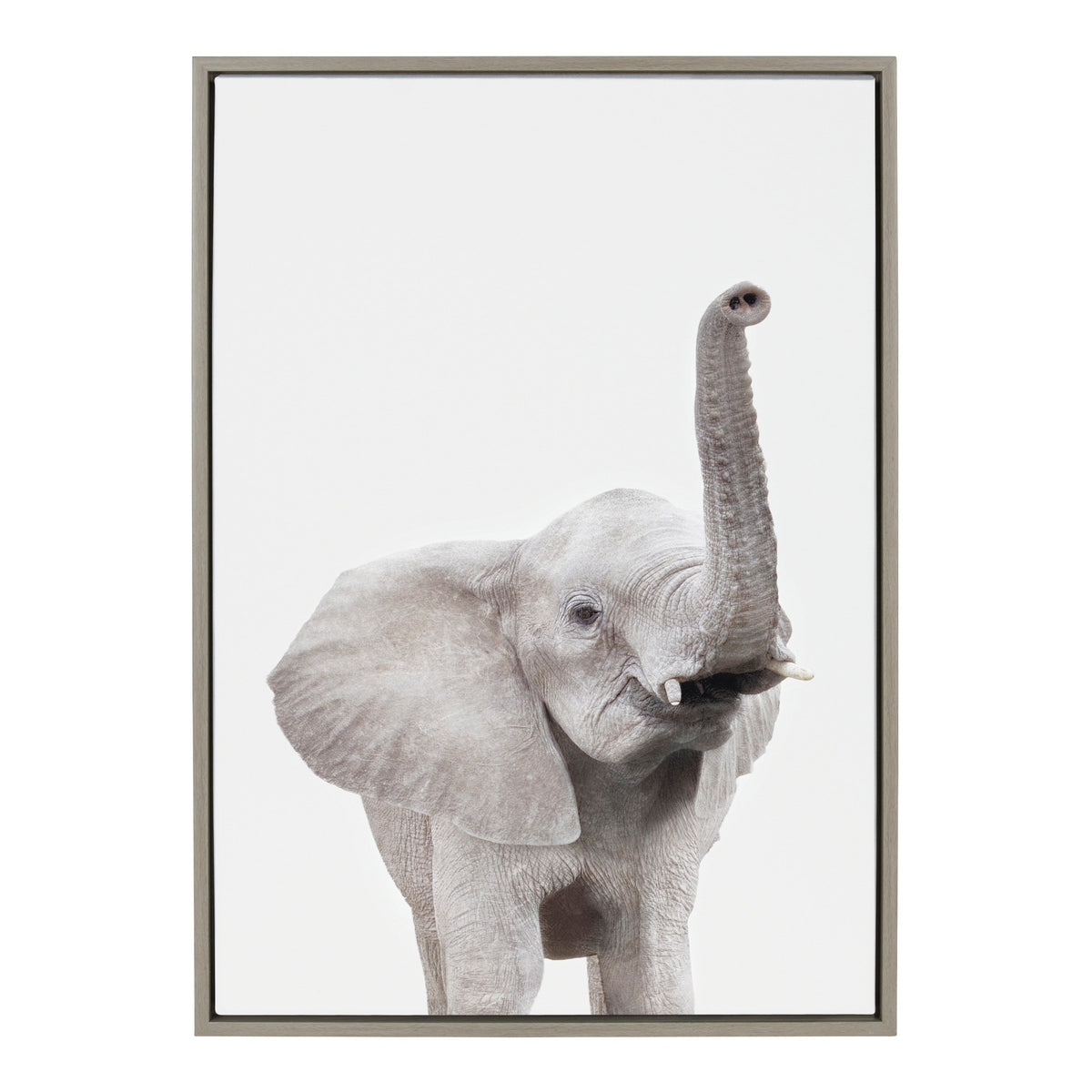 Sylvie Young Elephant Framed Canvas by Amy Peterson
