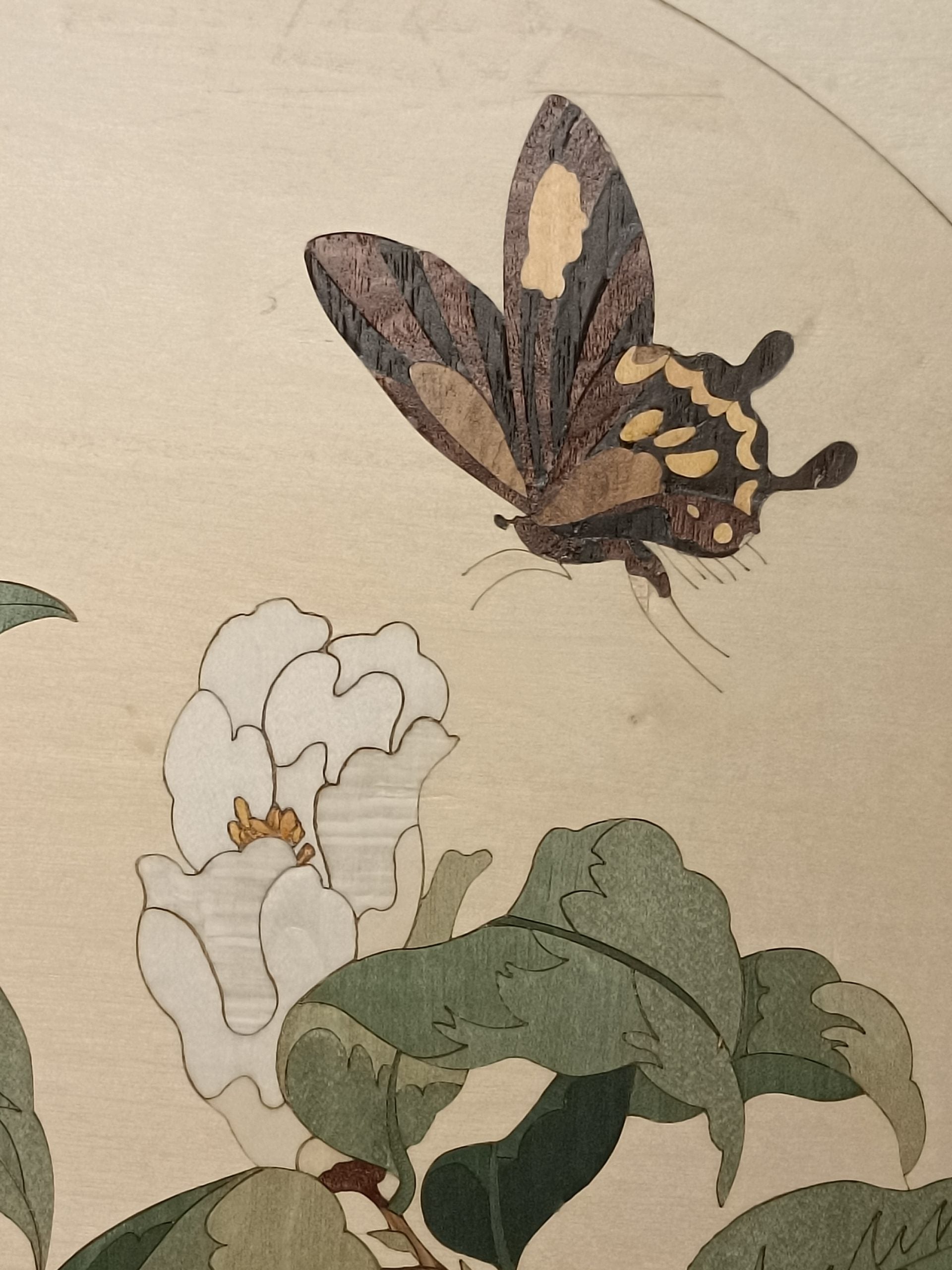 Camellia image 1