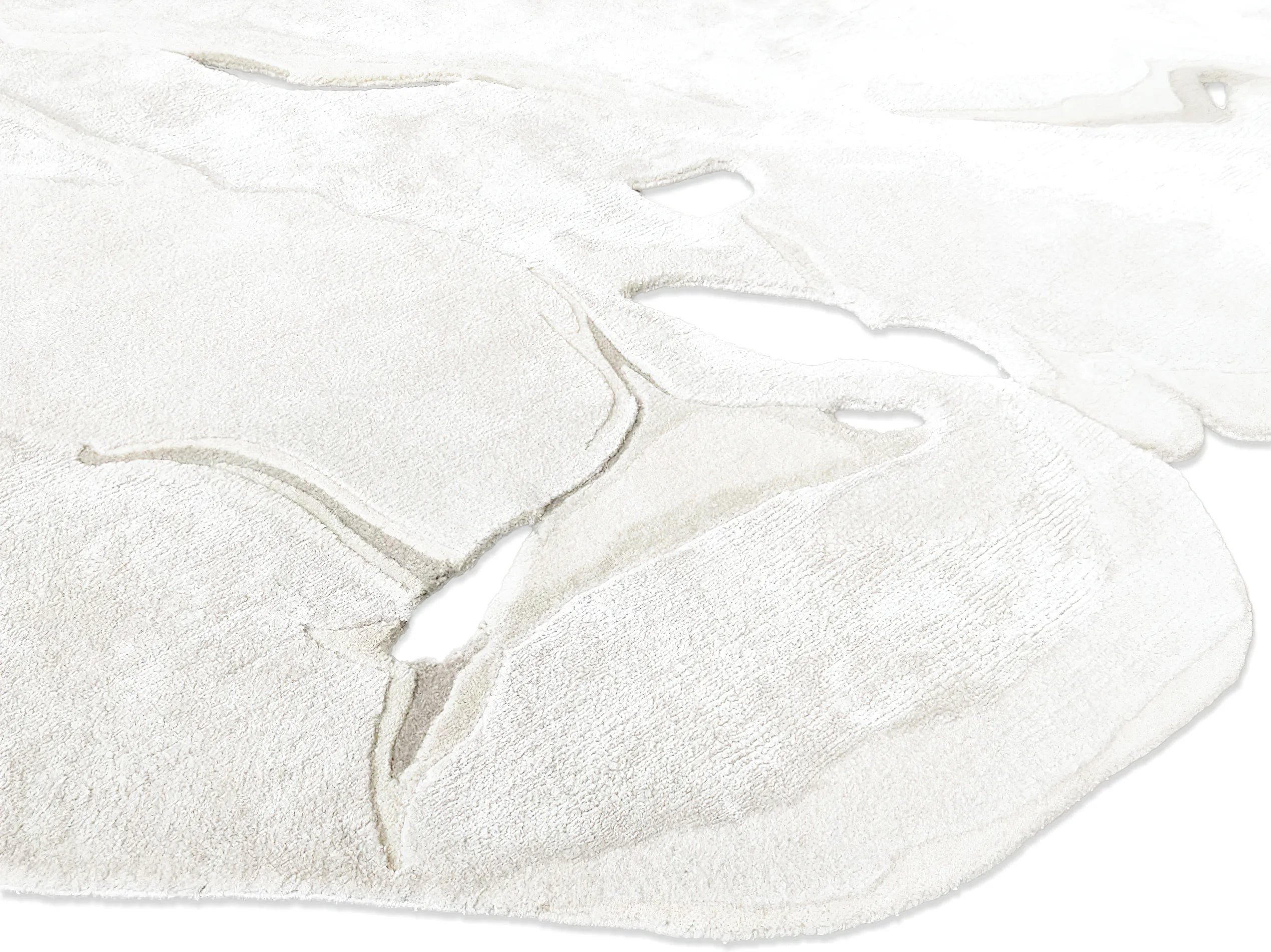 Bianco image 2