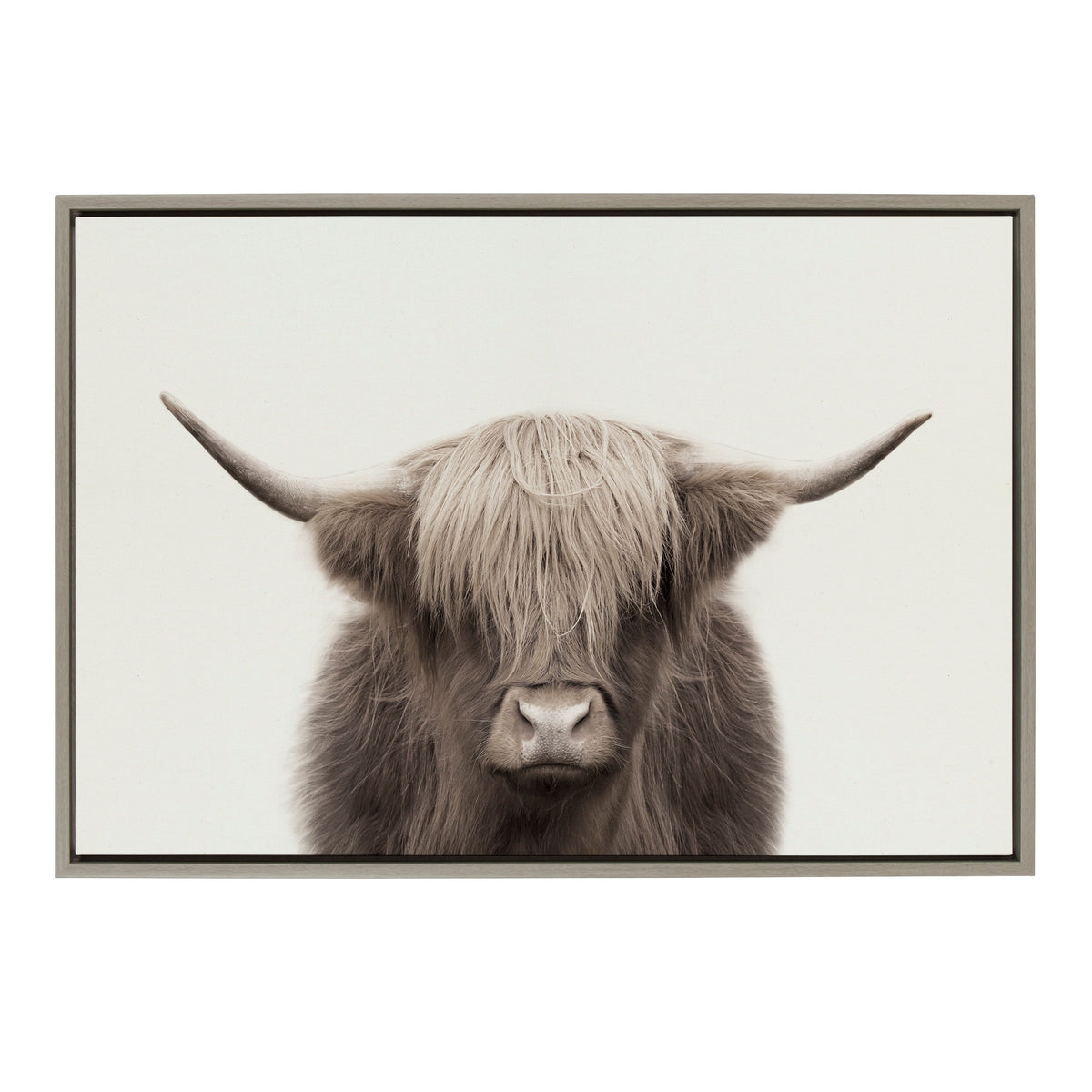 Sylvie Hey Dude Highland Cow Color Framed Canvas by The Creative Bunch Studio