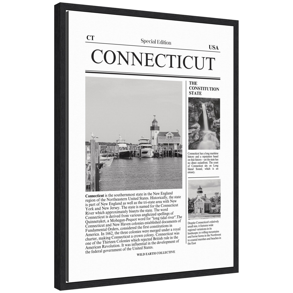Connecticut Article by Megan Ryan Framed Canvas Wall Art Print