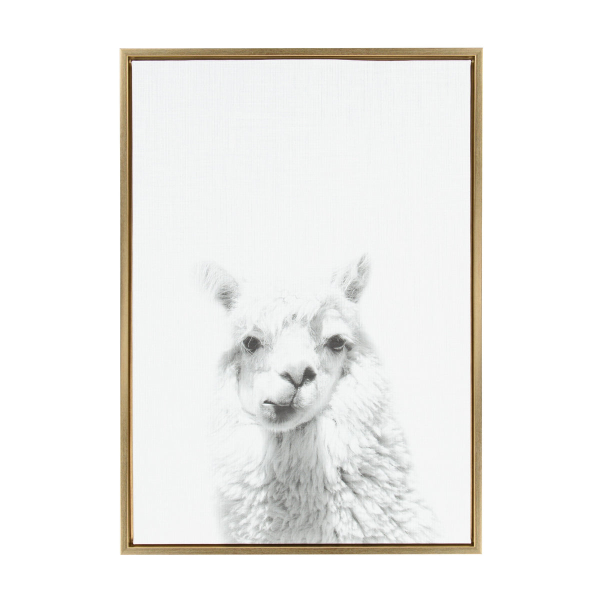 Sylvie Alpaca Framed Canvas by Simon Te of Tai Prints