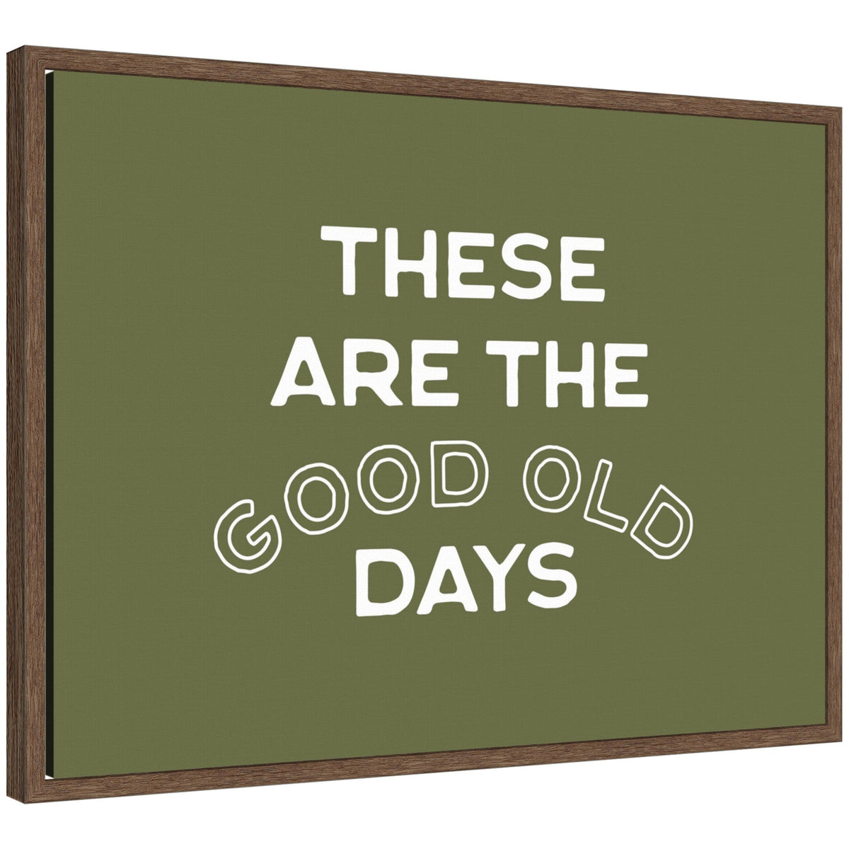 These Are the Good Old Days Retro Poster, Stamped Lettering Sage Green Wall Art Dopamine Decor by Lucky Guava Framed Canvas Wall Art Print
