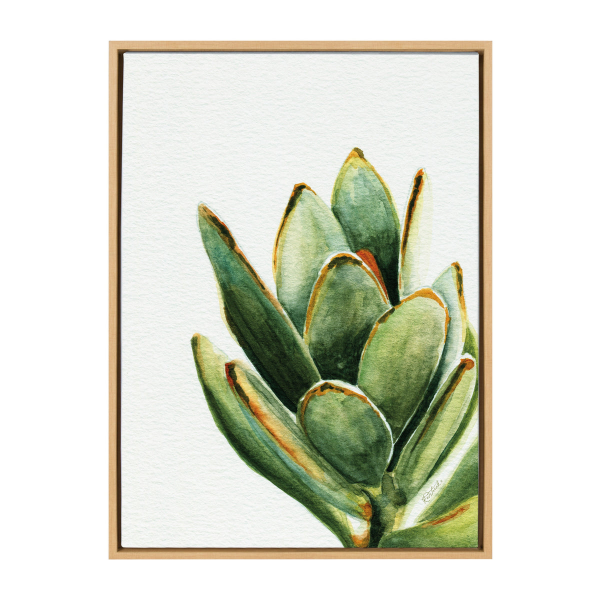 Sylvie Succulent 18 Framed Canvas By Jennifer Redstreake Geary