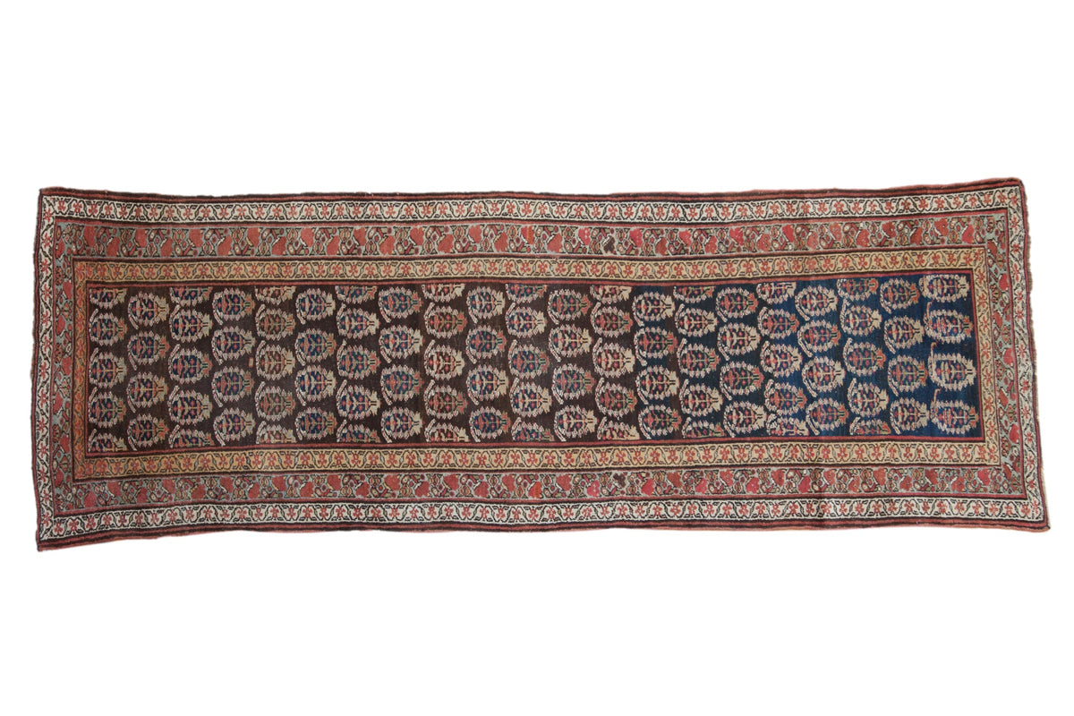 3.5x10 Antique Kurdish Rug Runner